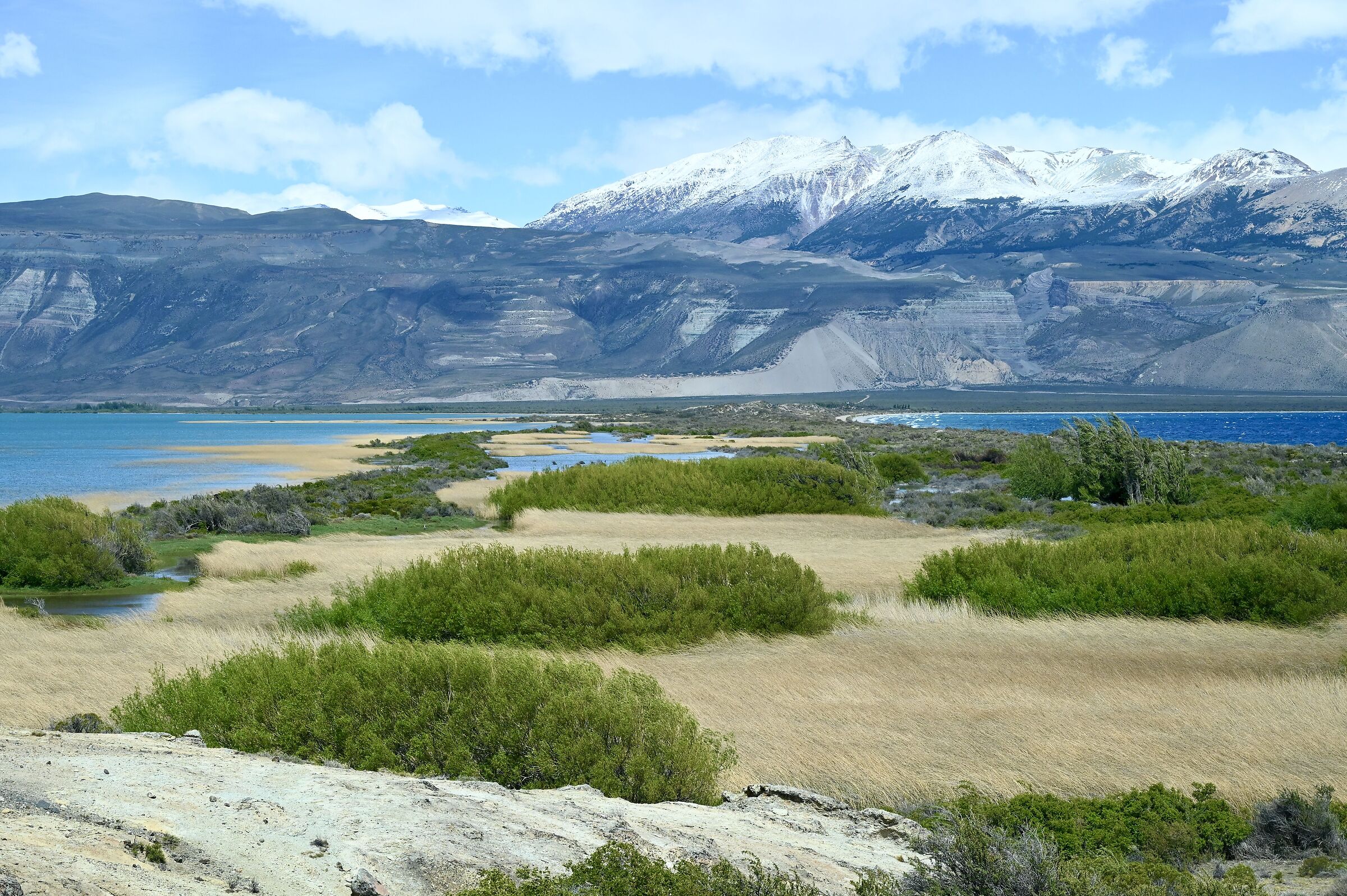 Lago Posadas
