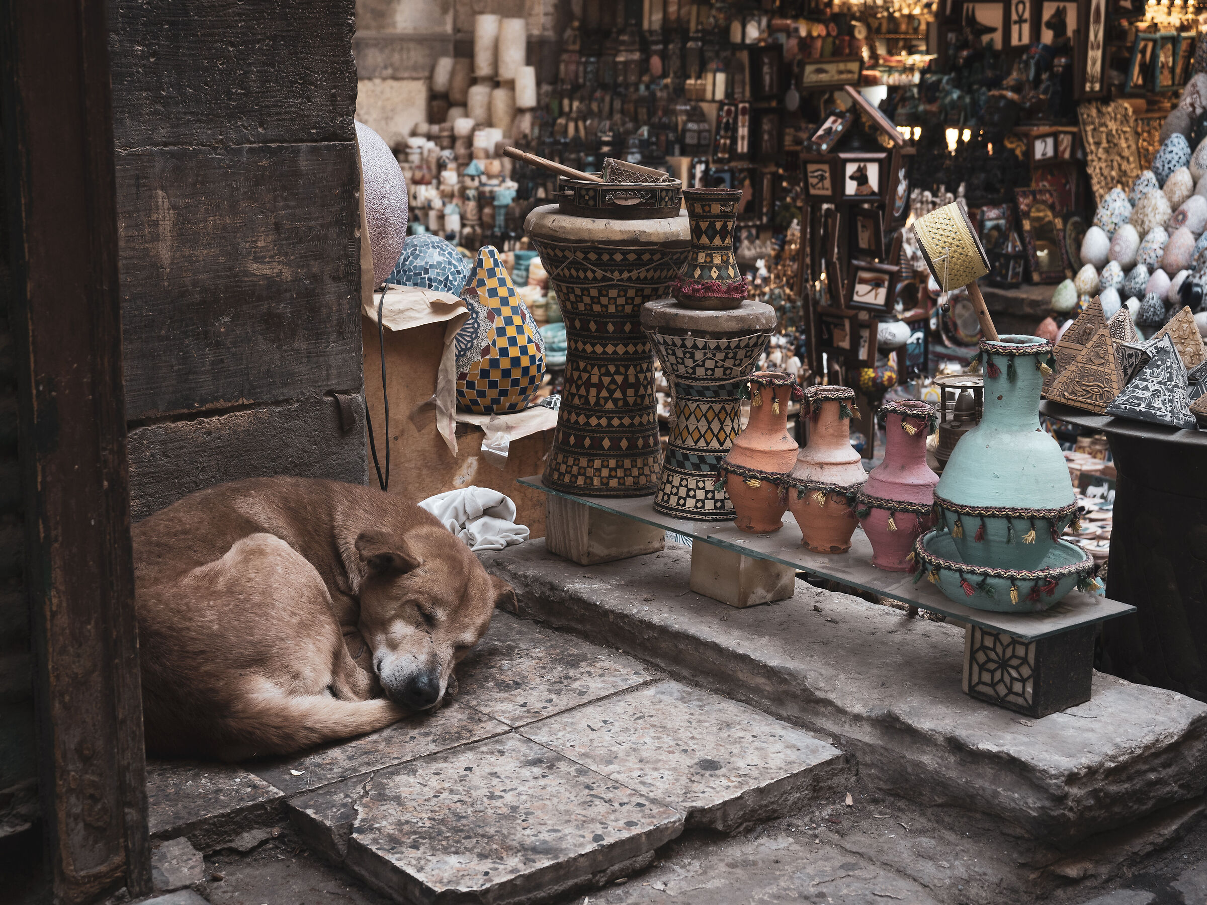 Il cane di Khan El-Khalili