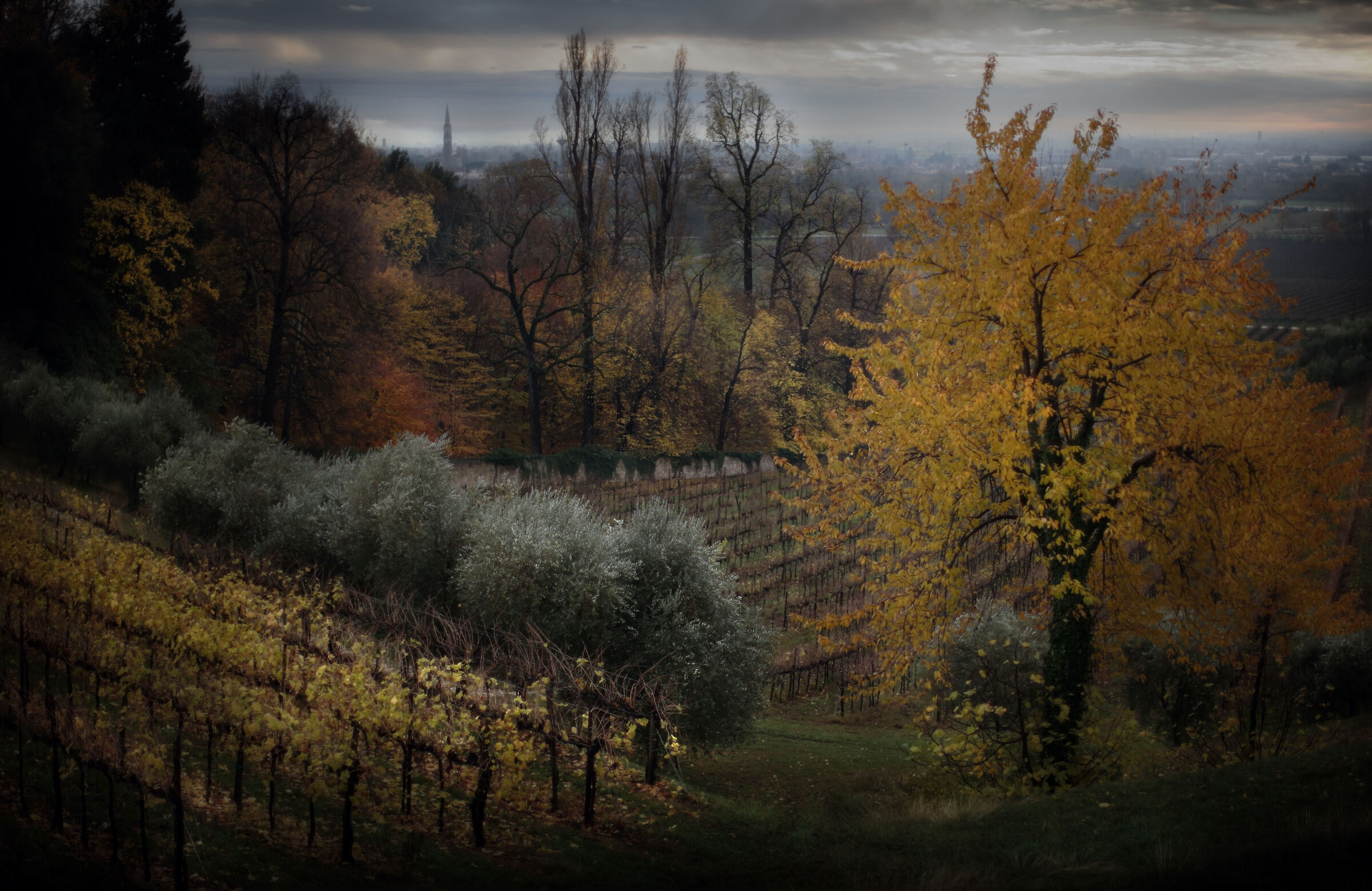 Autumn