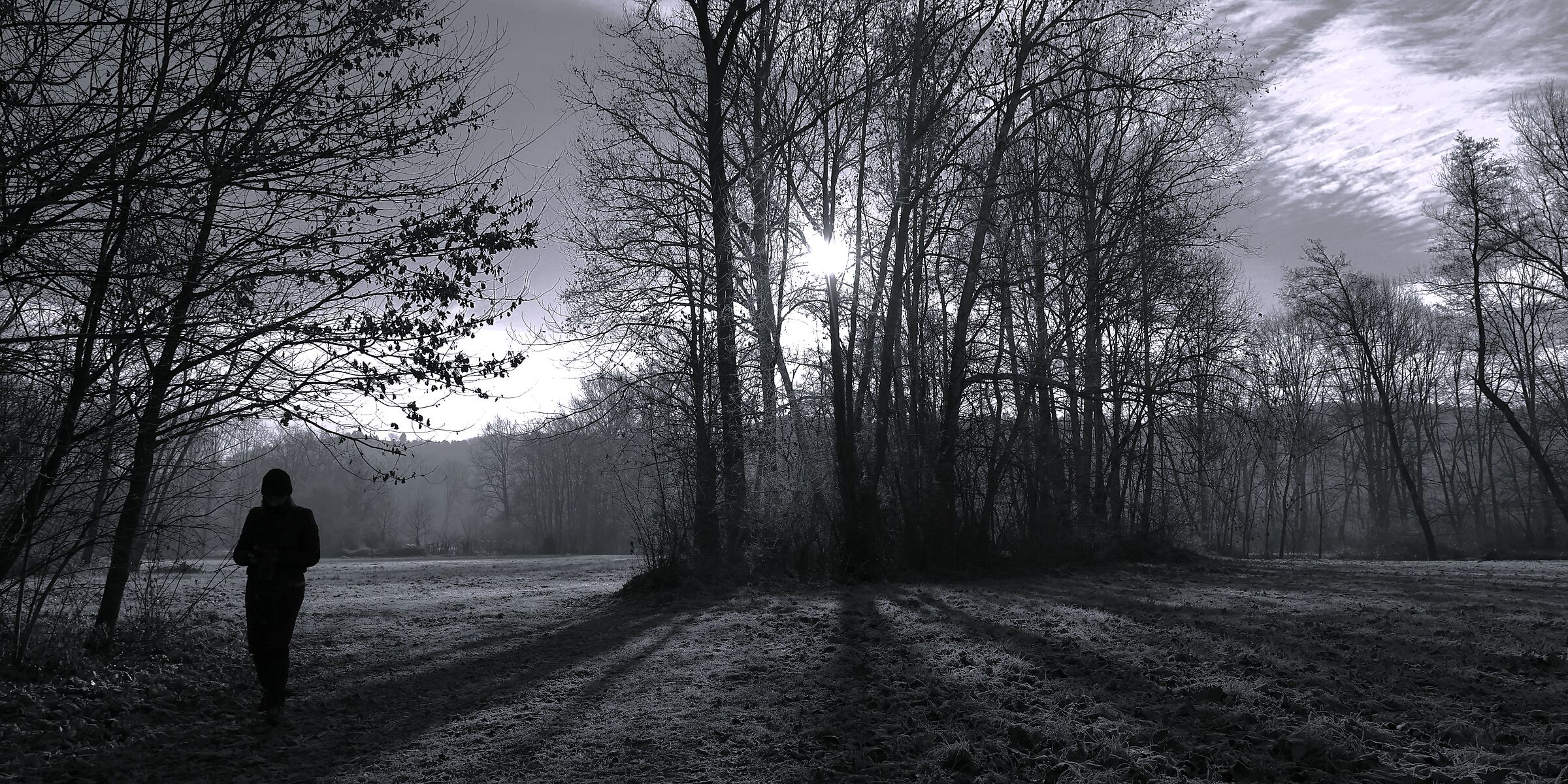 una fredda mattina in palude brabbia