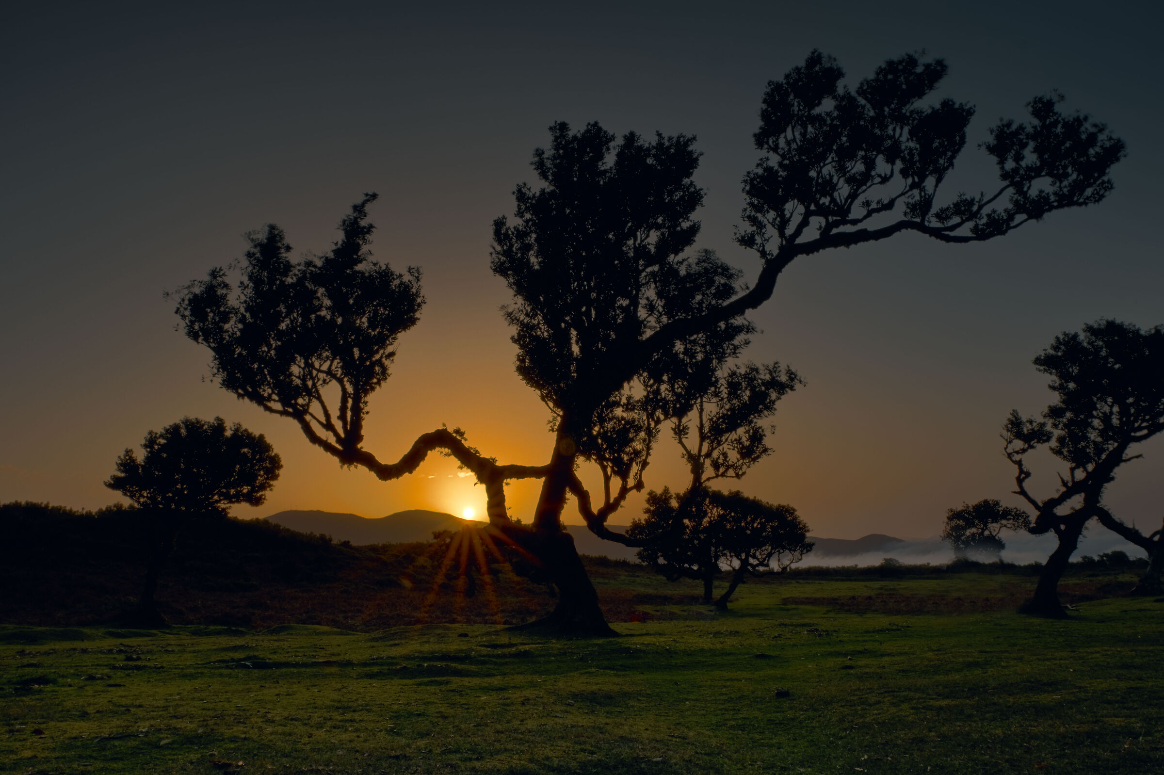 Last lights in Fanal