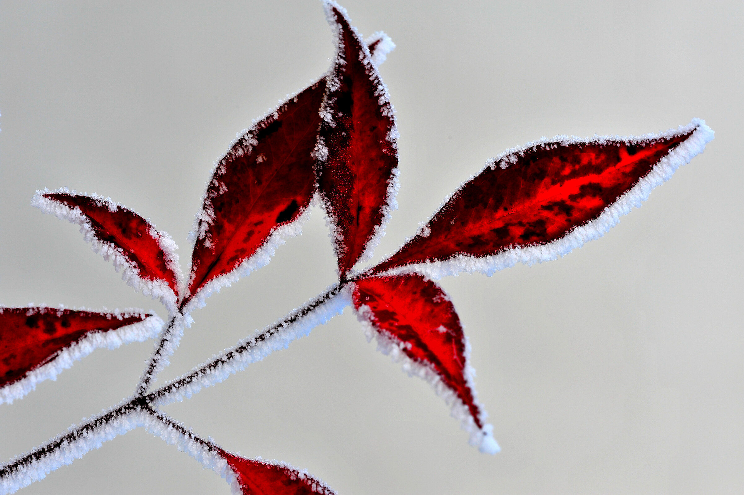 winters of the past...