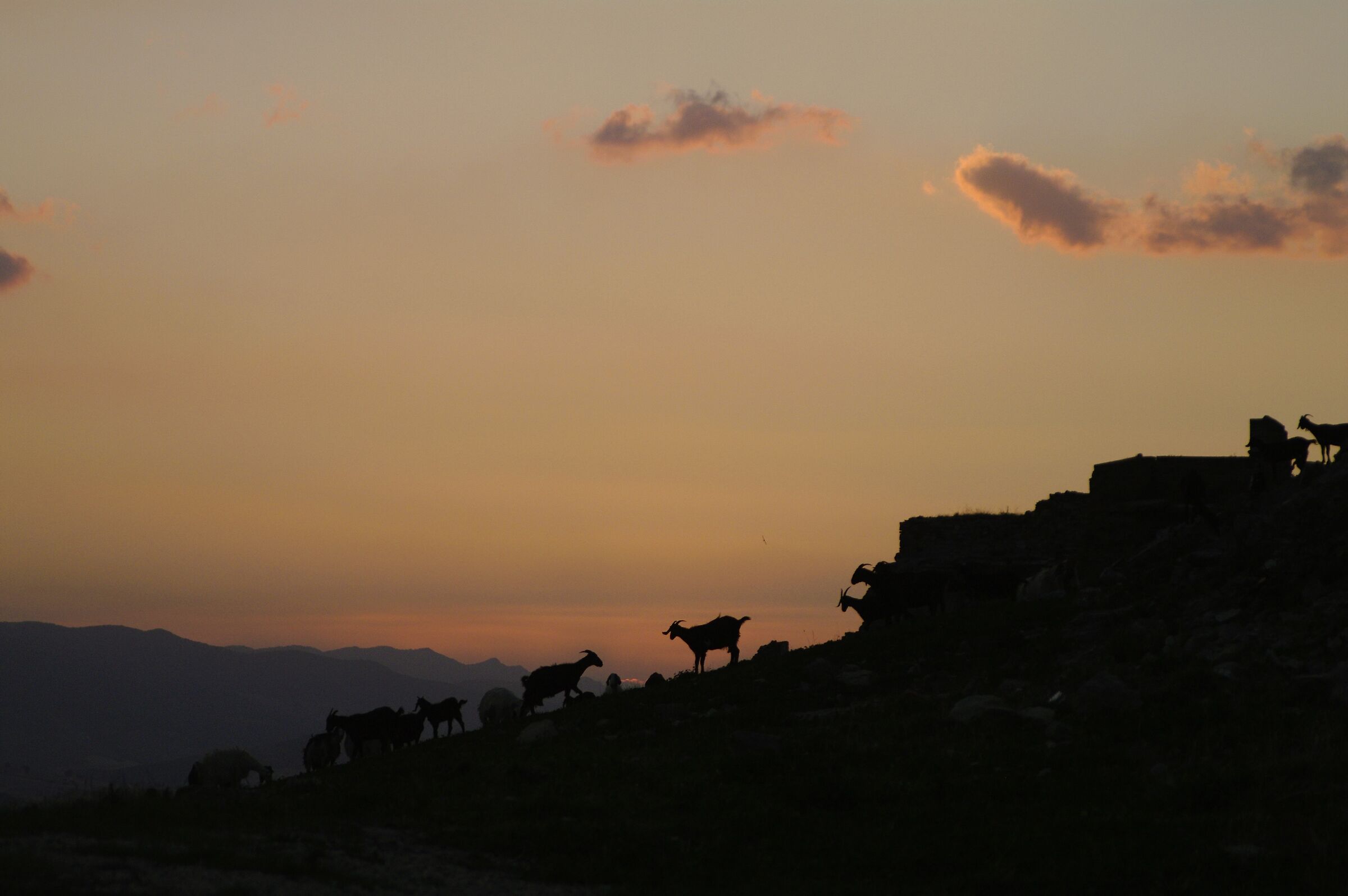 Craco - now only them.