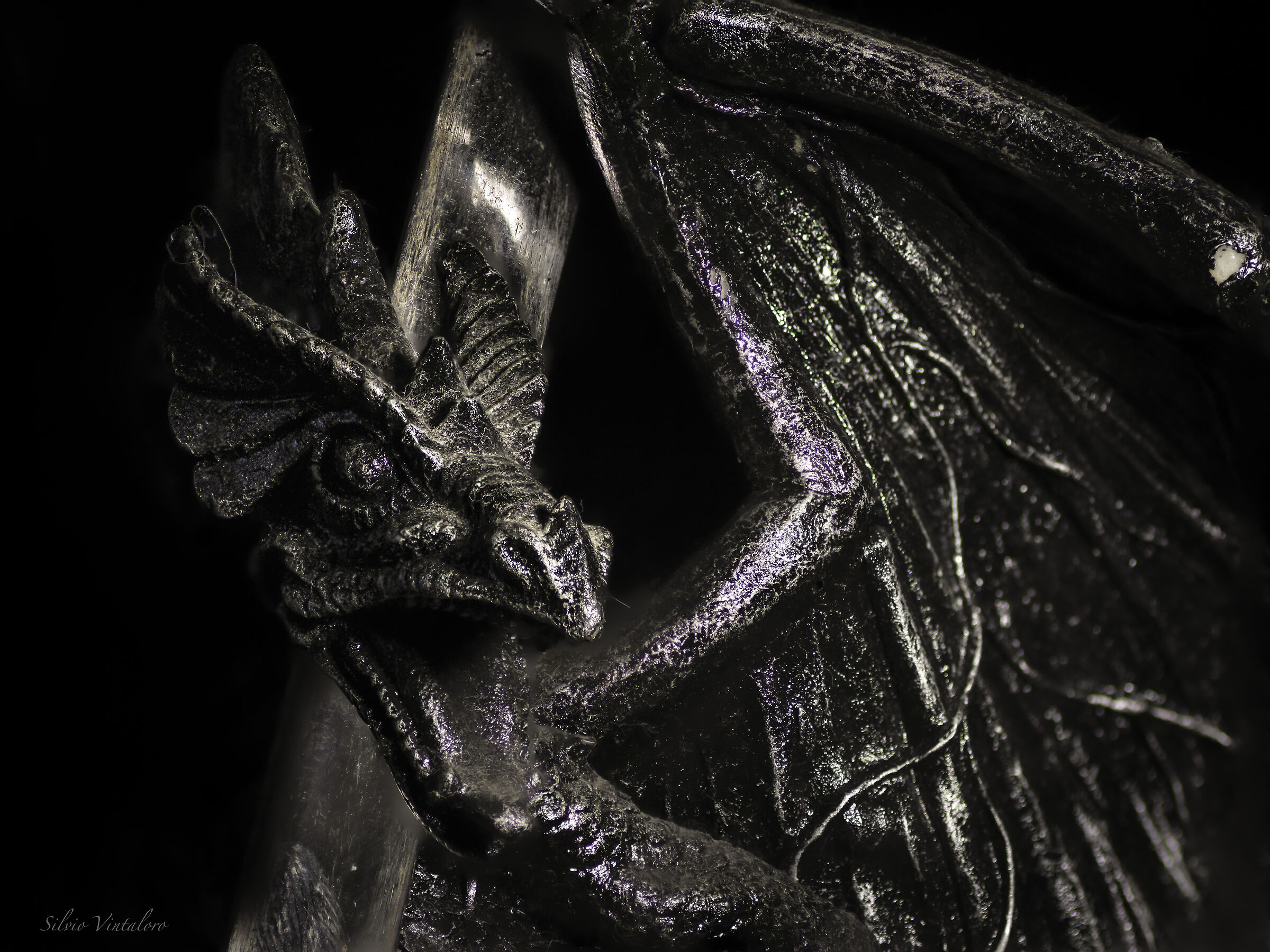 Dragon in focus stacking