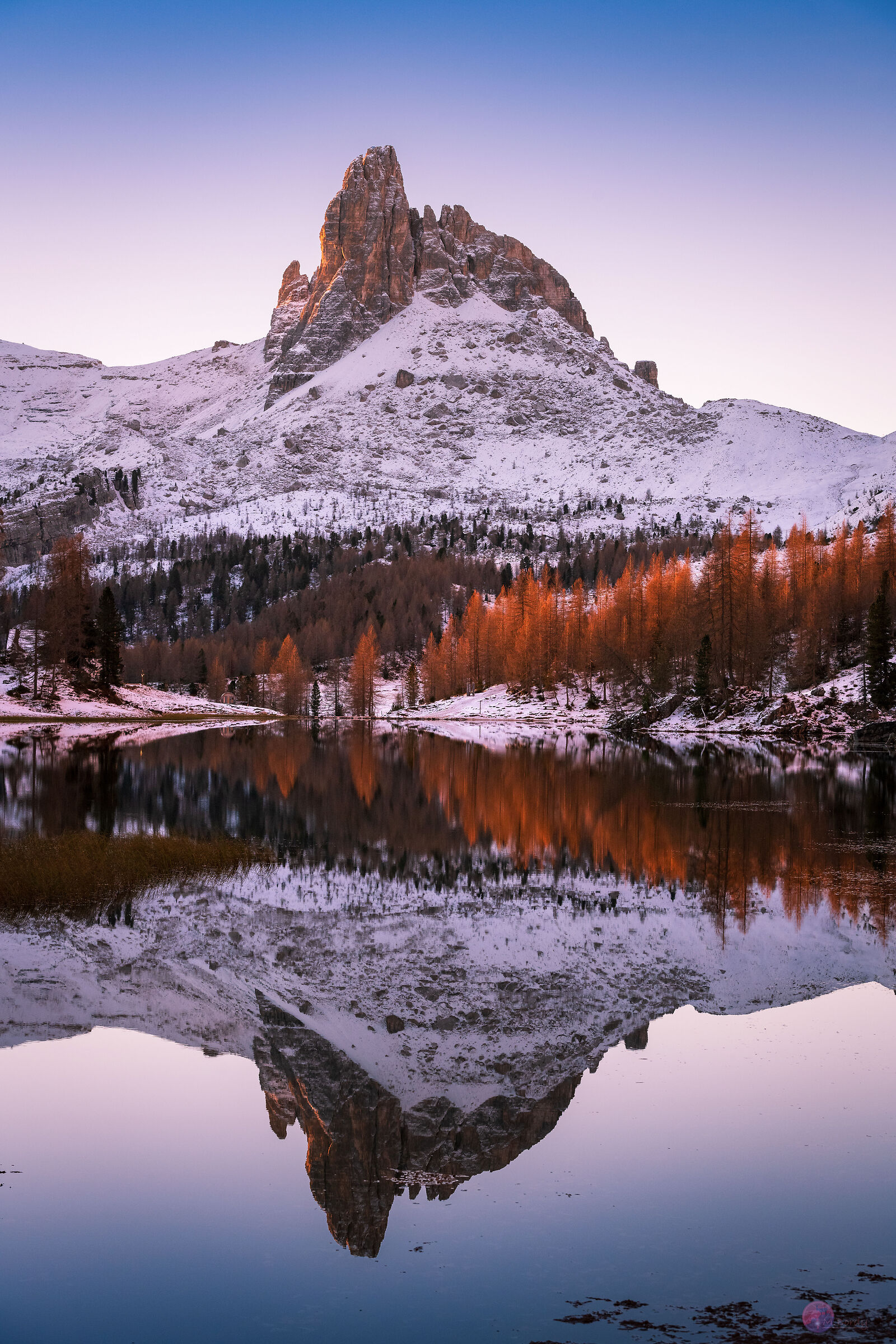 Il Becco allo specchio