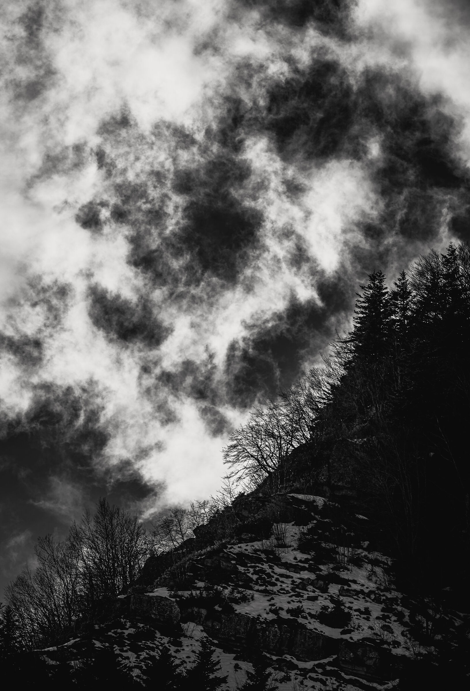 Verso il Cielo