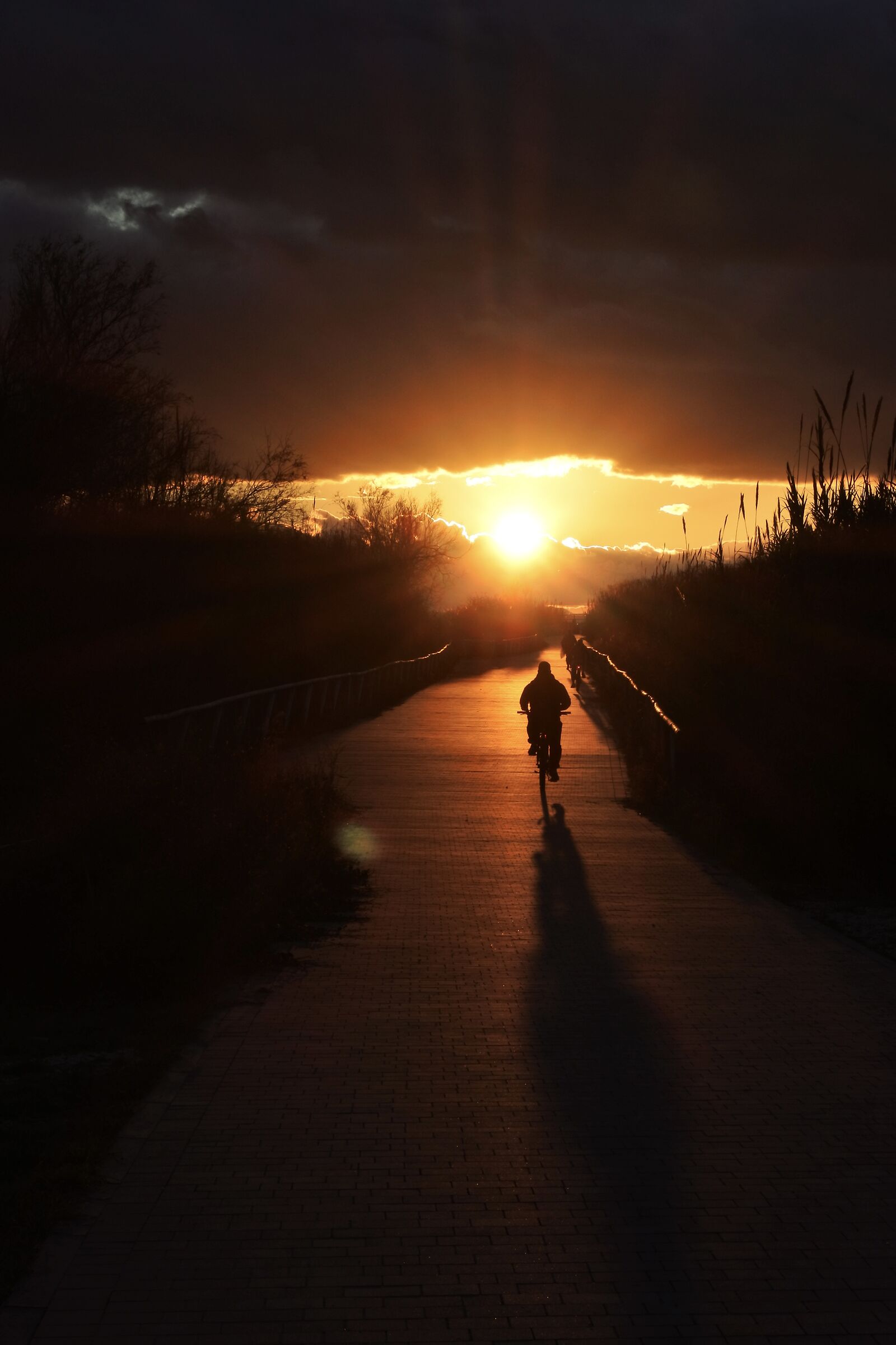 Bicycle and sunset