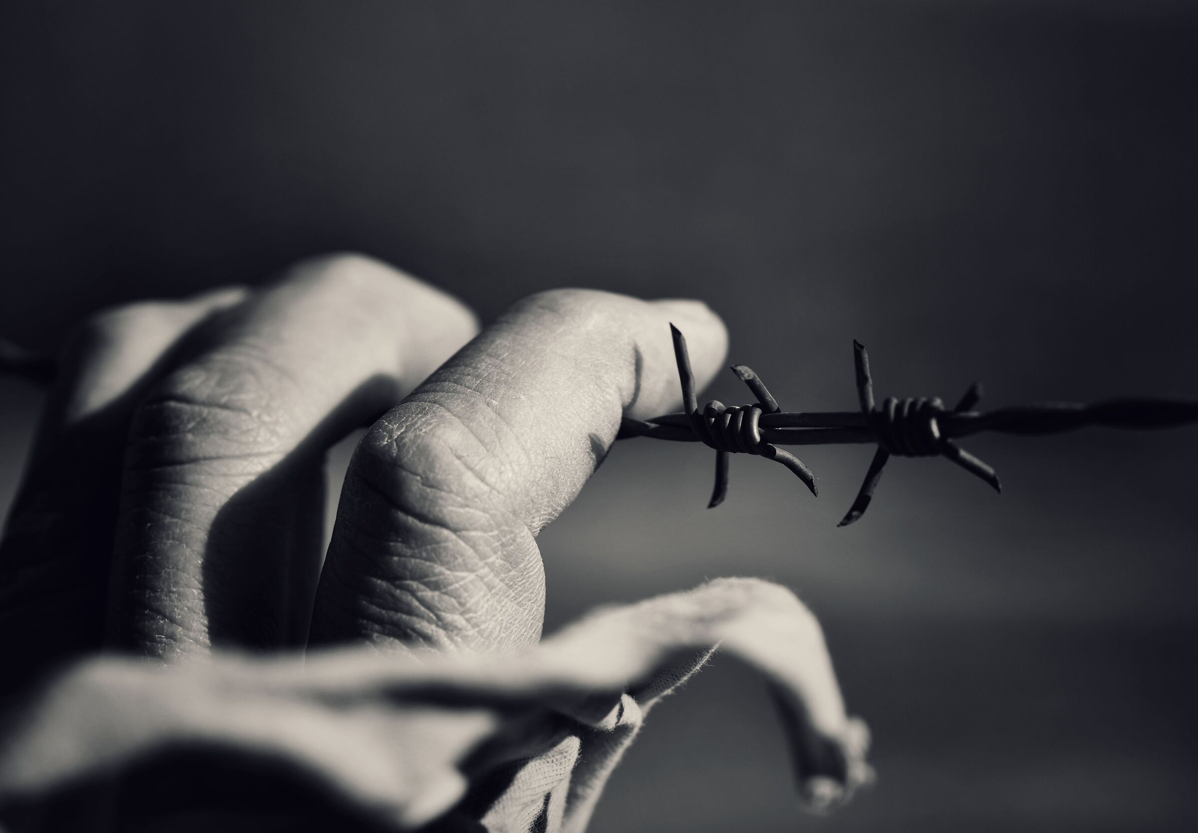 La Giornata della memoria...
