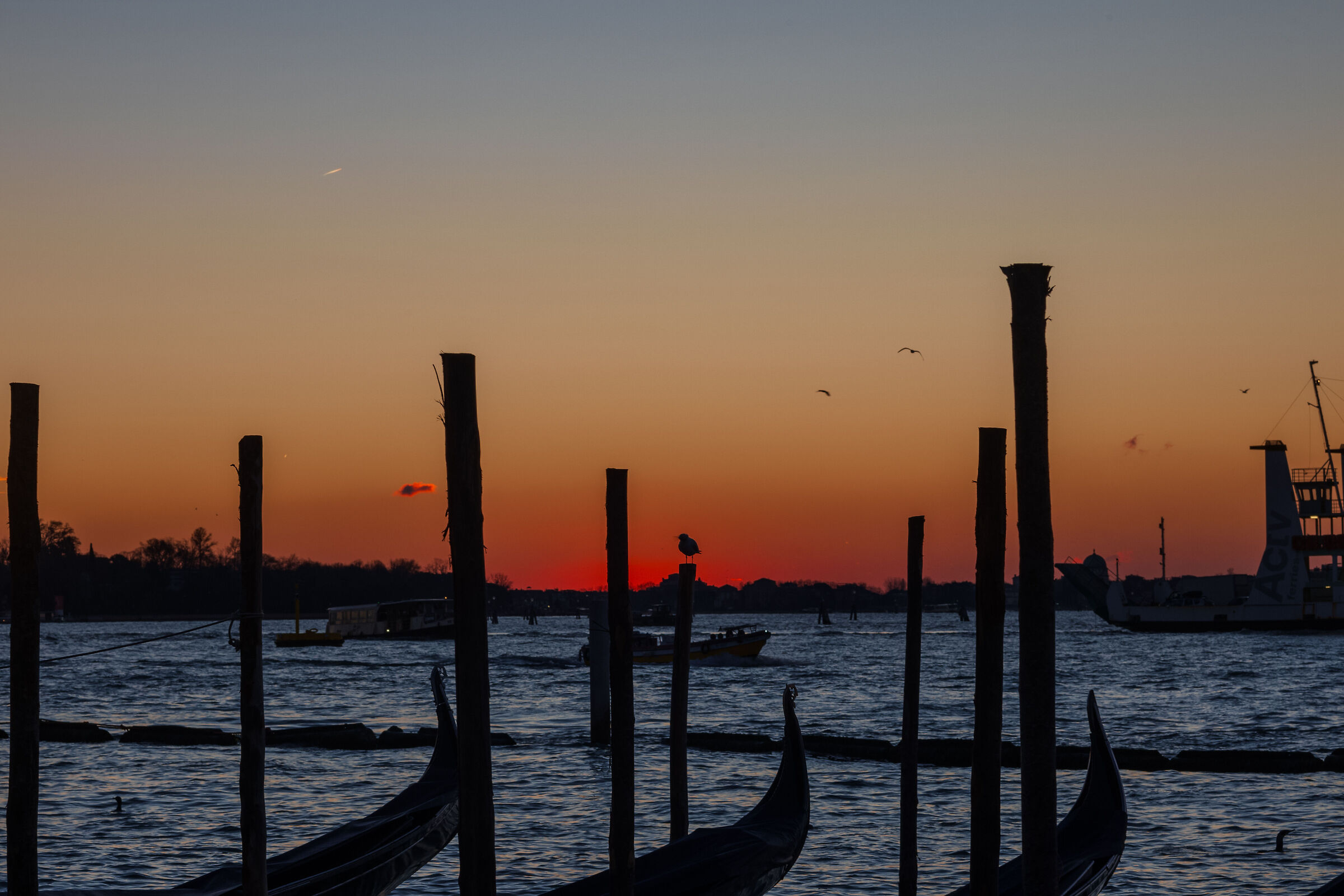 Venetian Sunrise