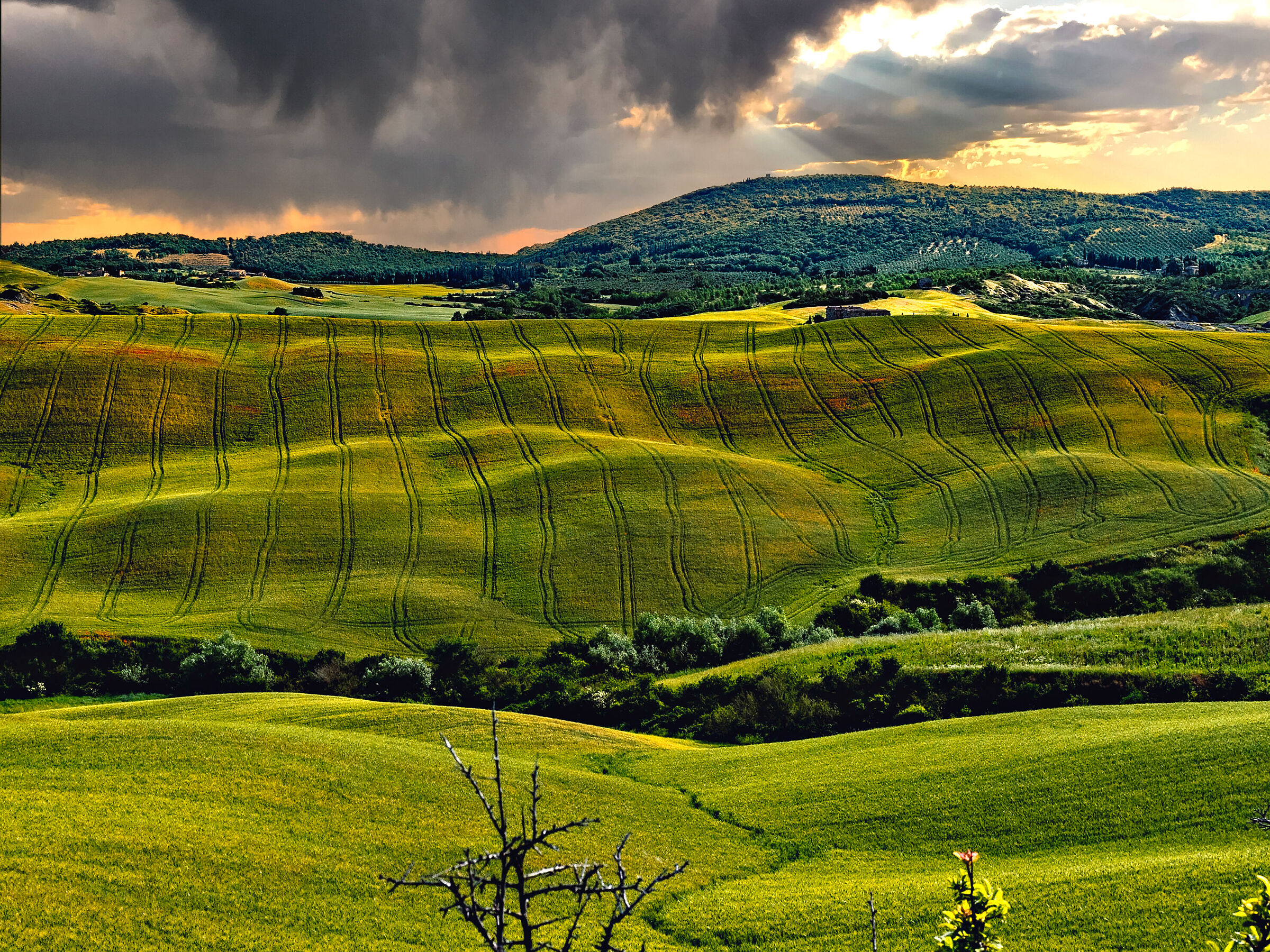 Val d'Orcia