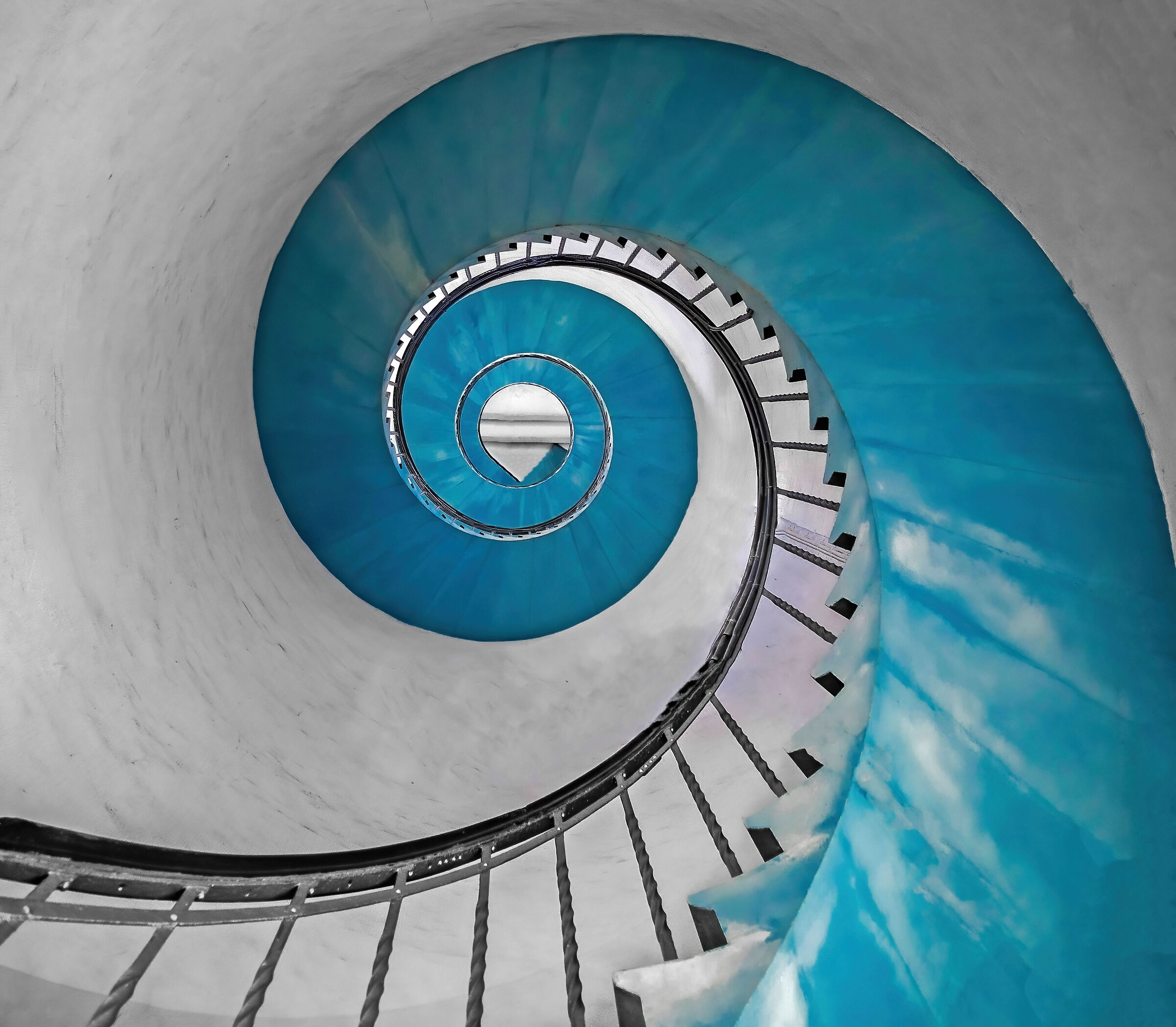 THE SHAPE OF THE SNAIL