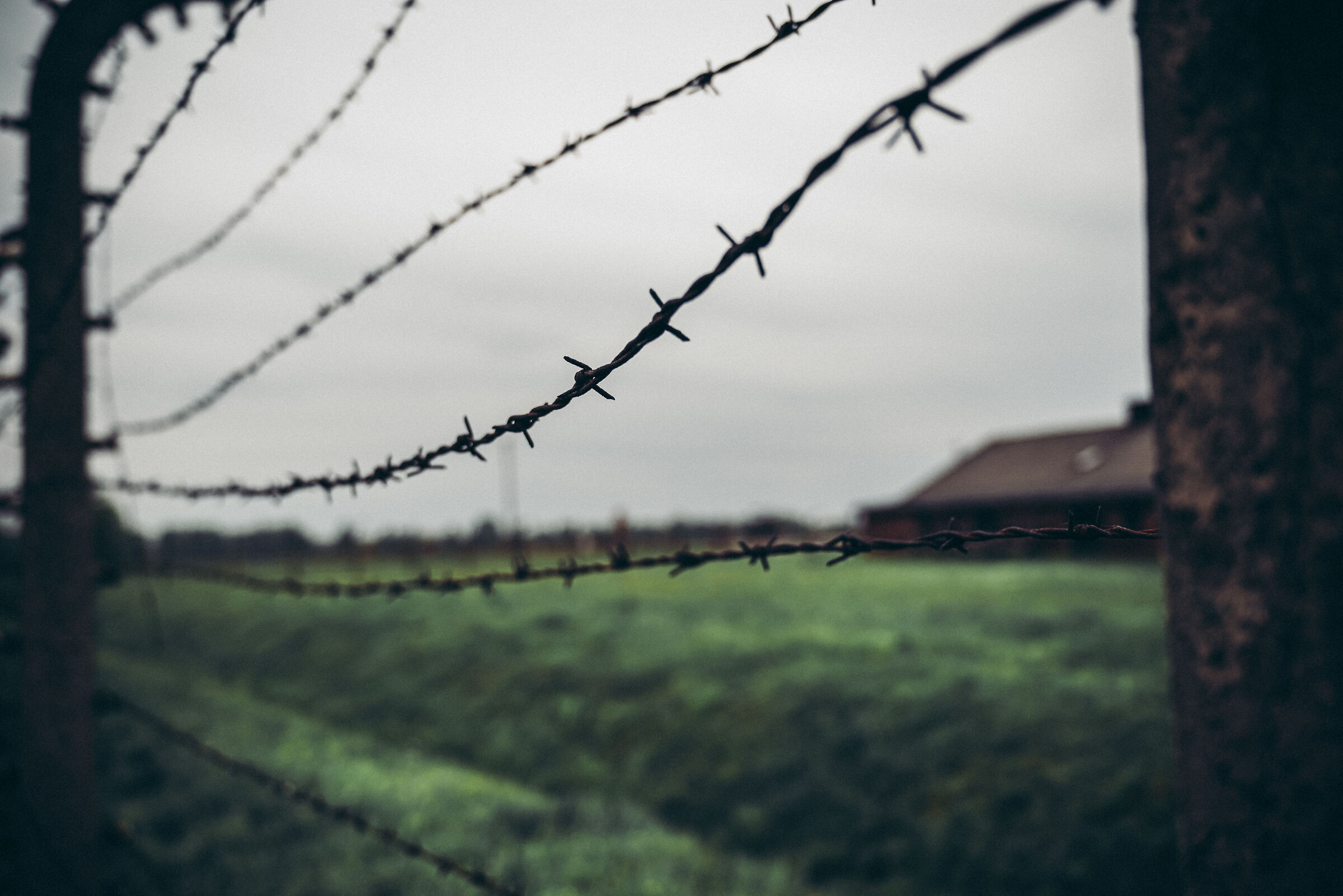 Aushwitz