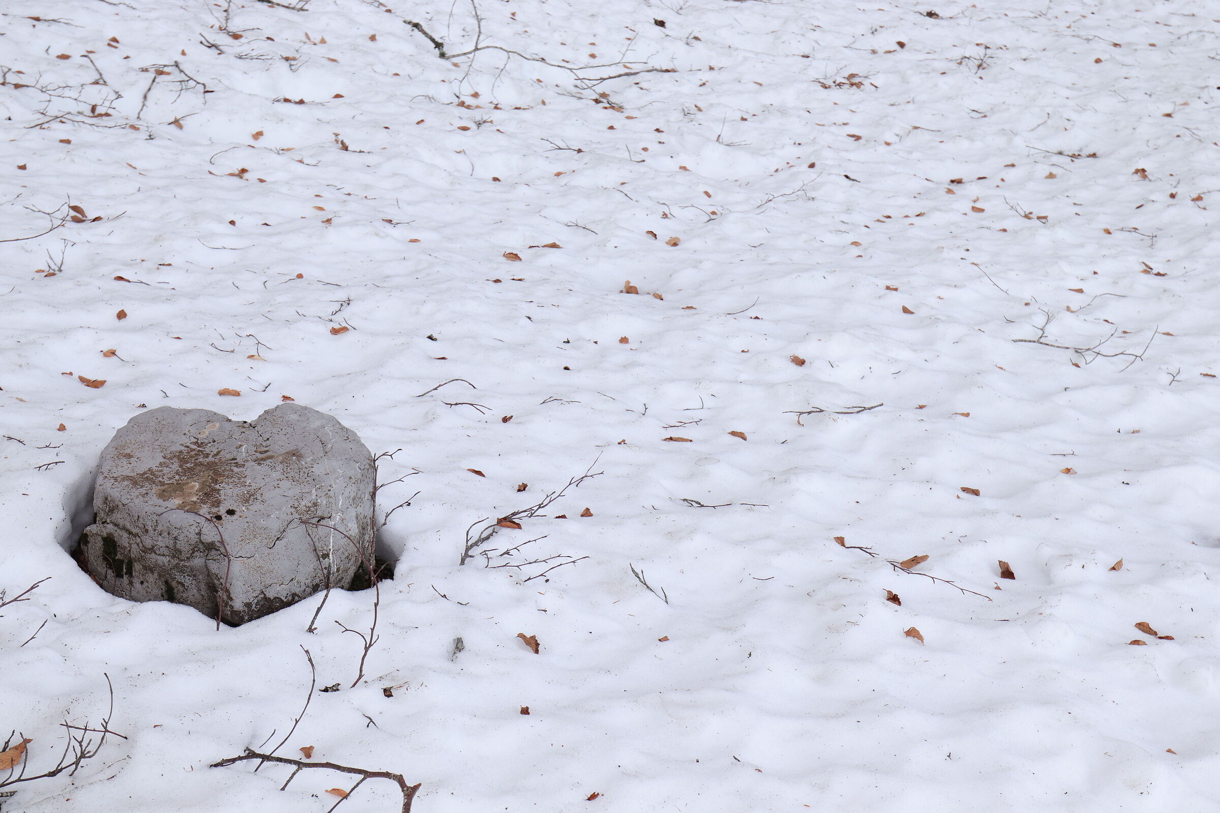 Heart of Stone III