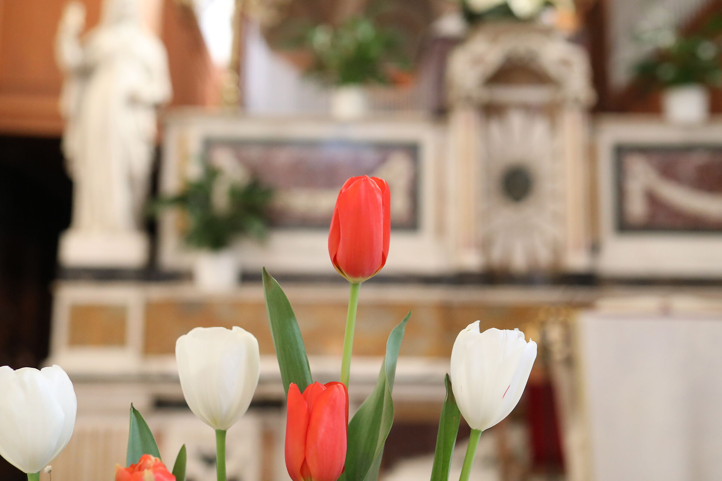 Ei, @ " ISO 6 Mila 400 " Canon 5 D iv,- Milvus Z 5...