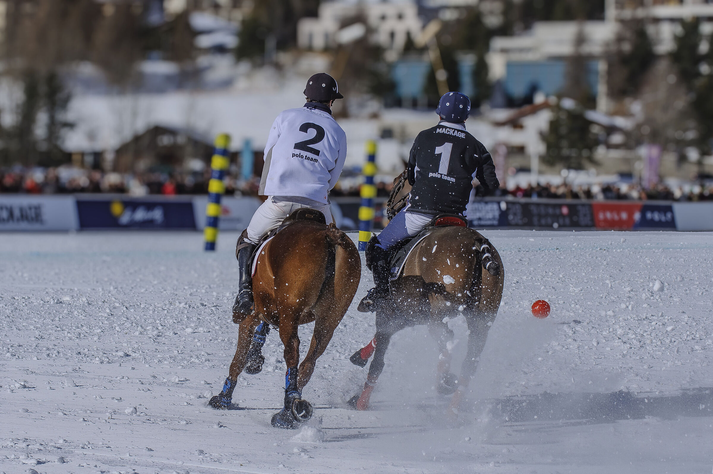 SnowPolo  25