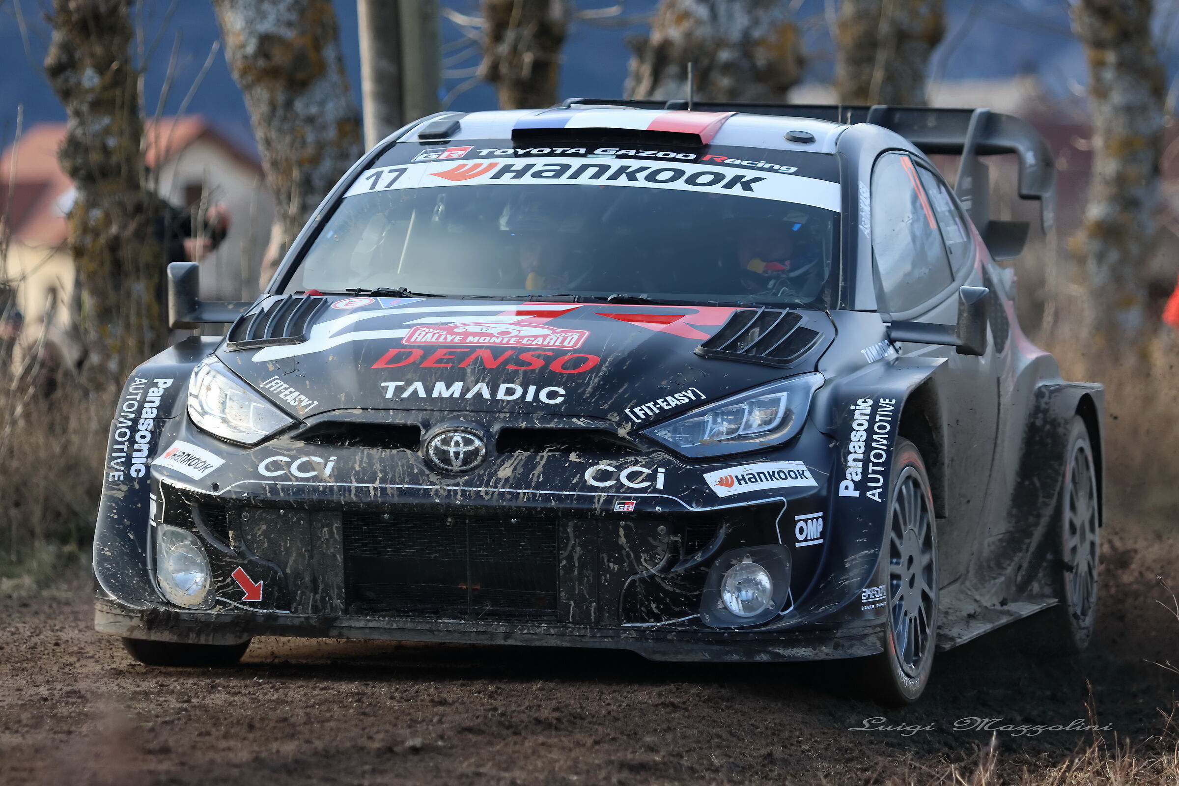 il ritorno del campione