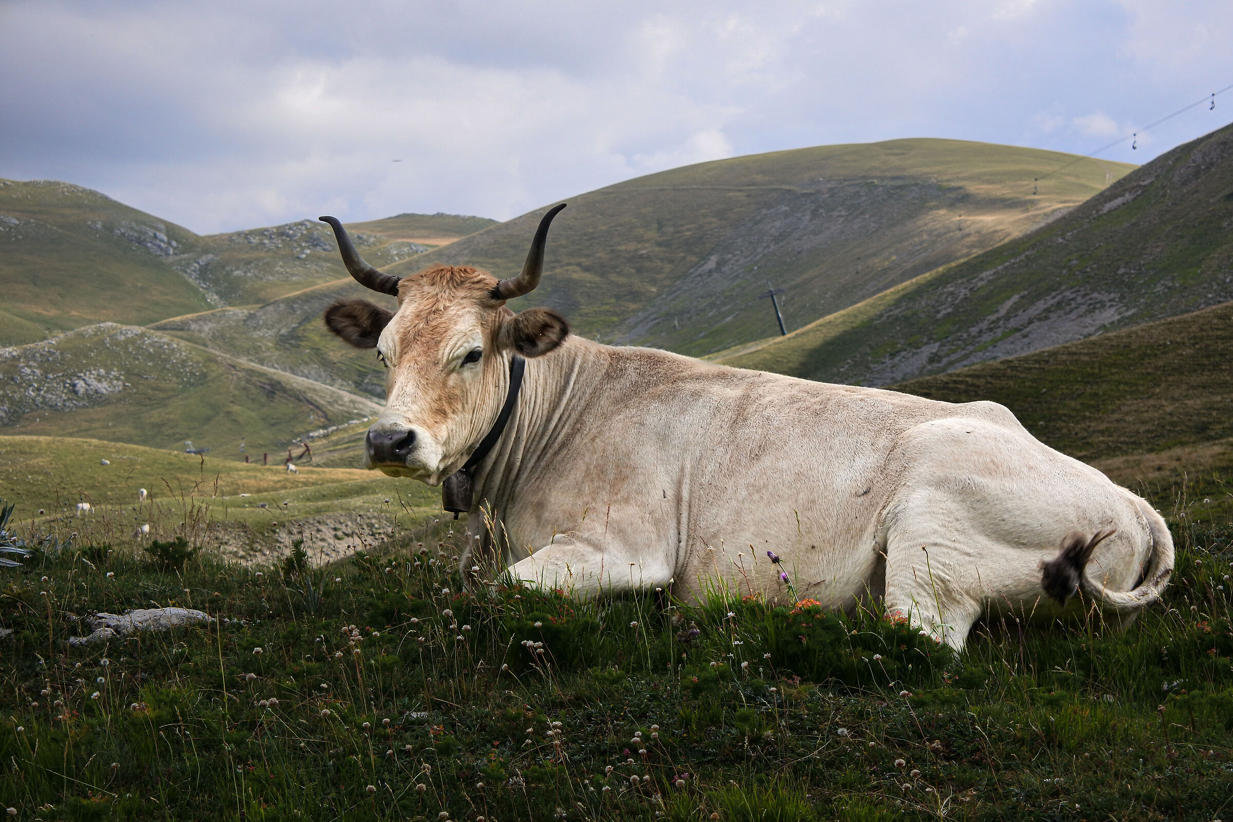 Riposino a campo imperatore
