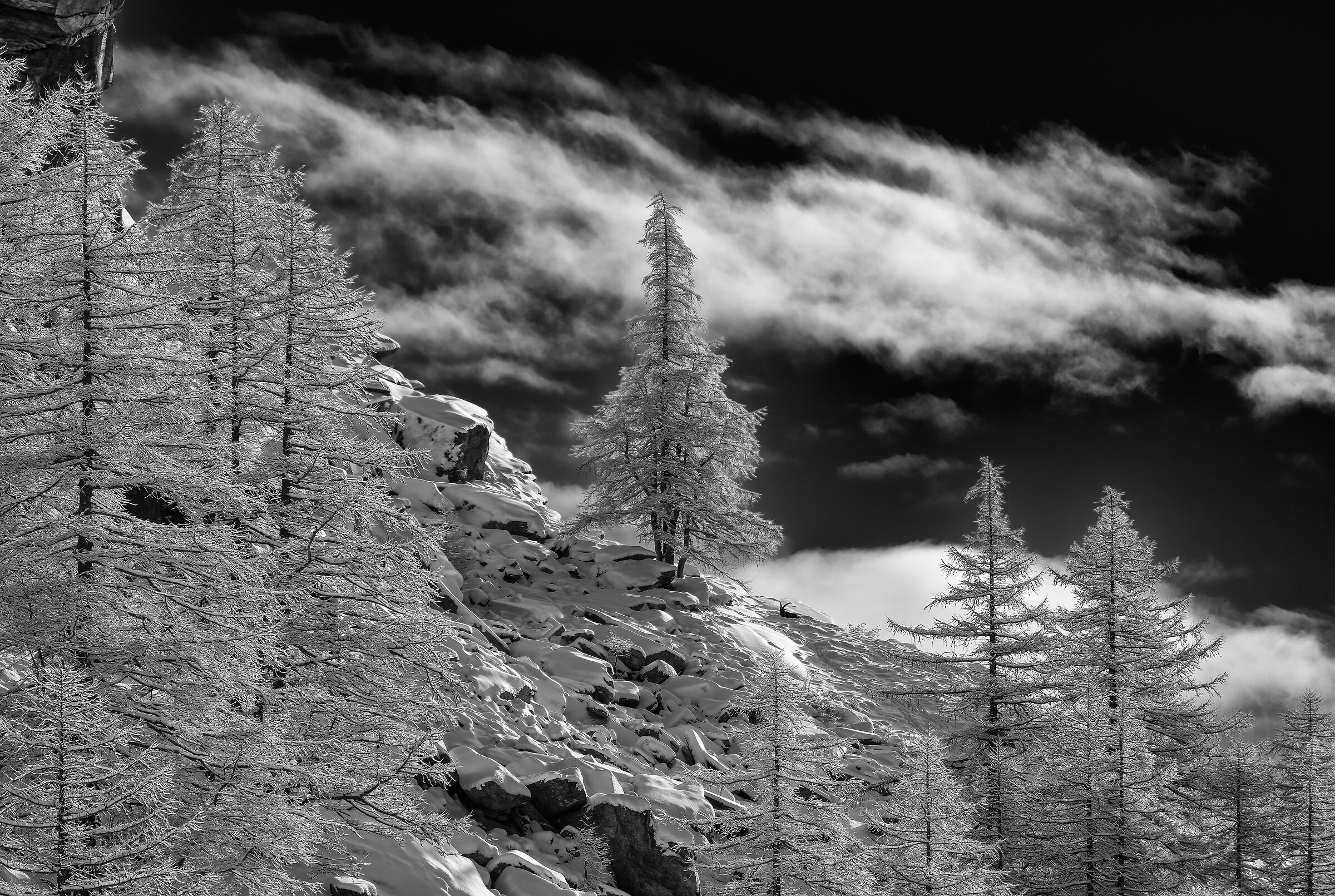 Parco Nazionale  Gran Paradiso - Piemonte