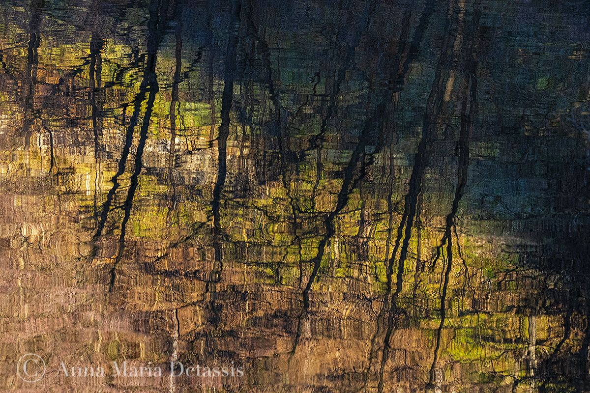 Un riflesso rivela texture inaspettate. Lago Levico Tn