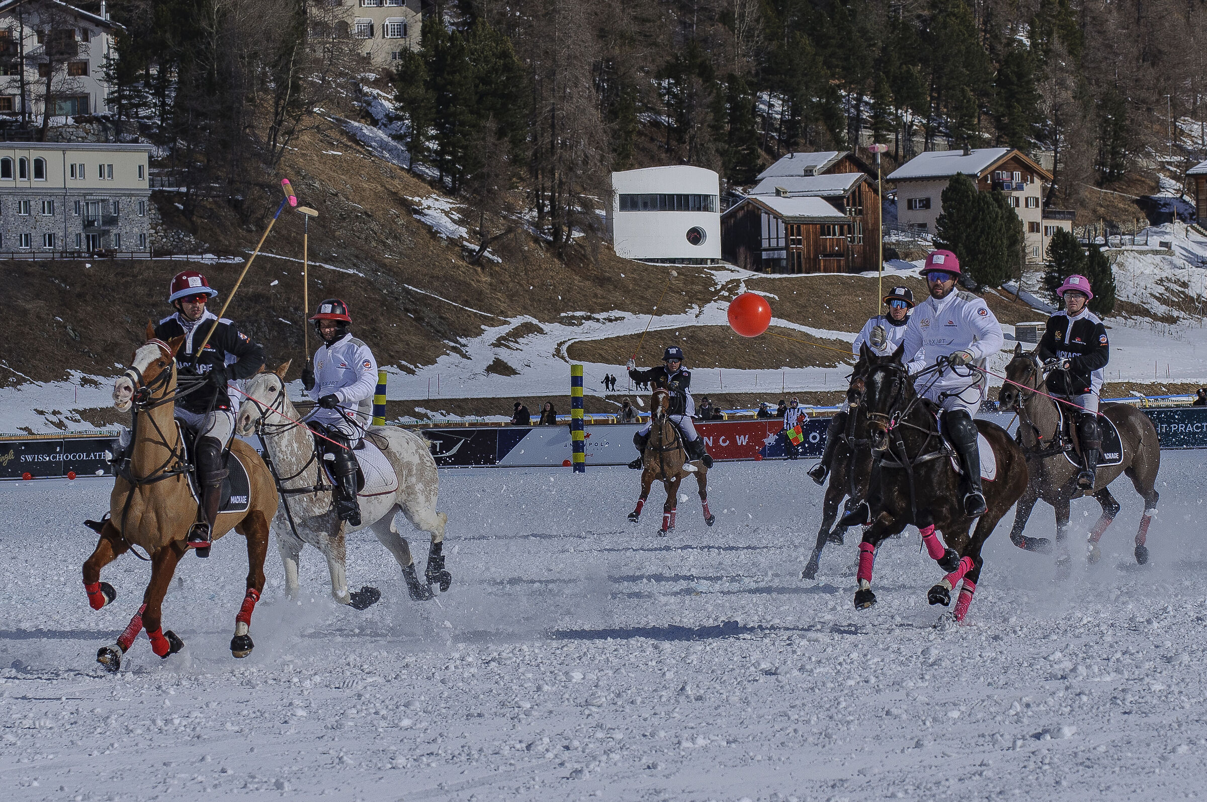 SnowPolo  25