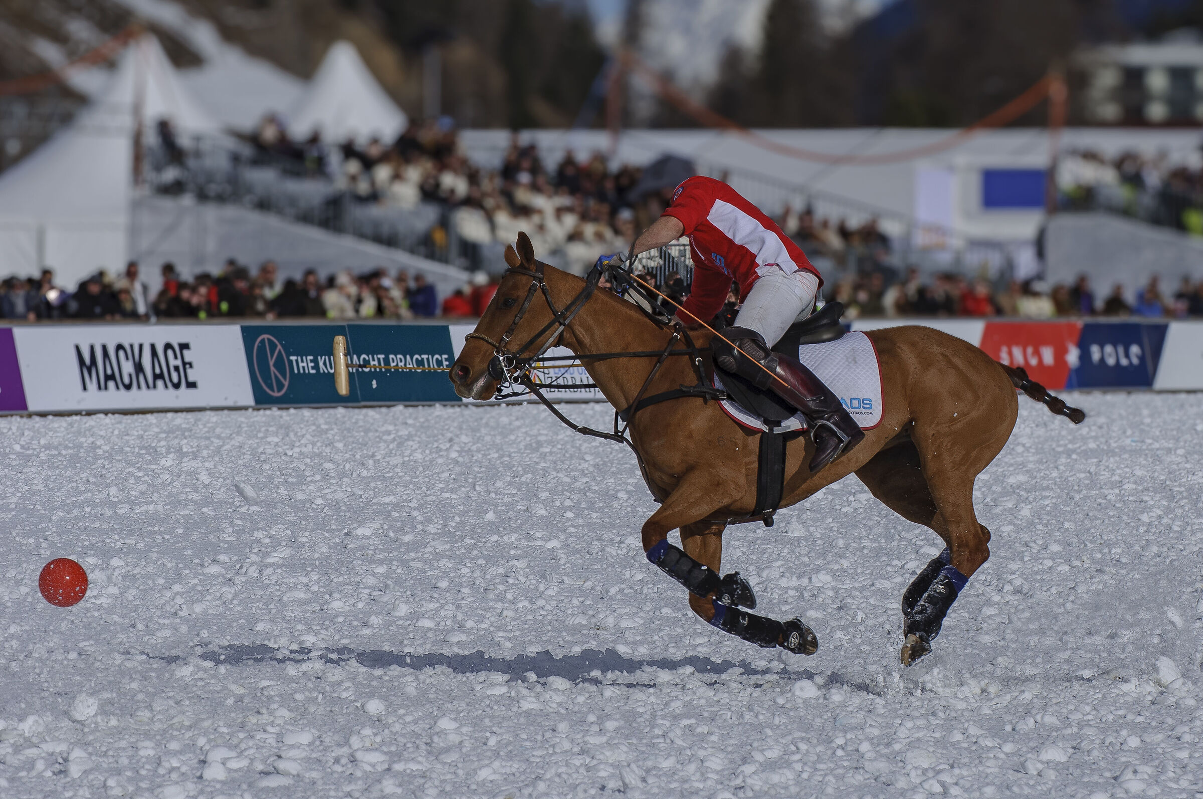 SnowPolo  25