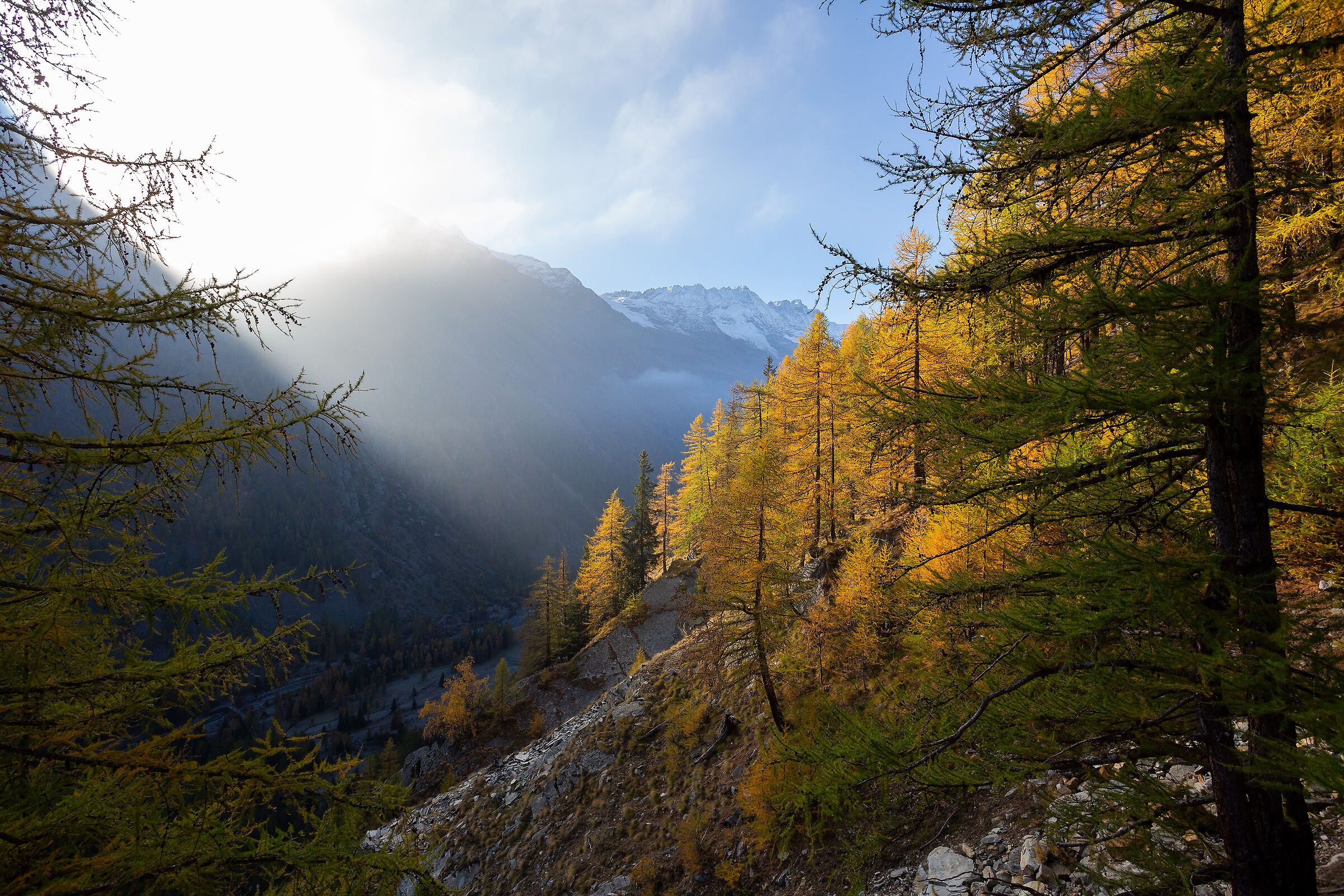 Autumn in "Paradise"