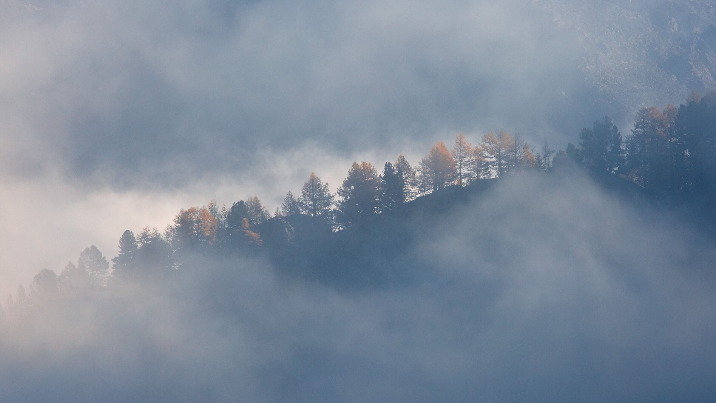 Autumn in "Paradise"