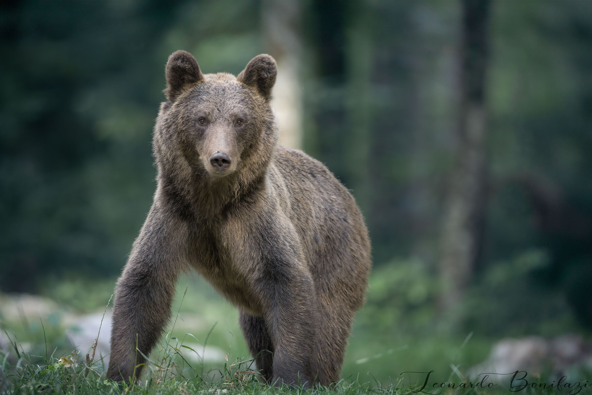 And where do you come from?