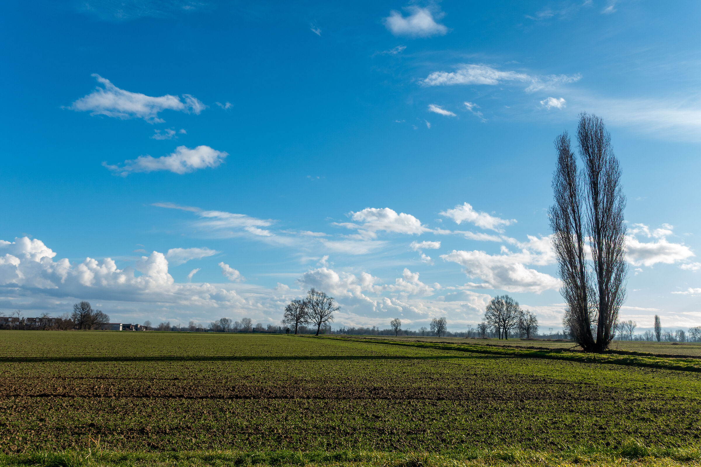 January 28 but it feels like spring