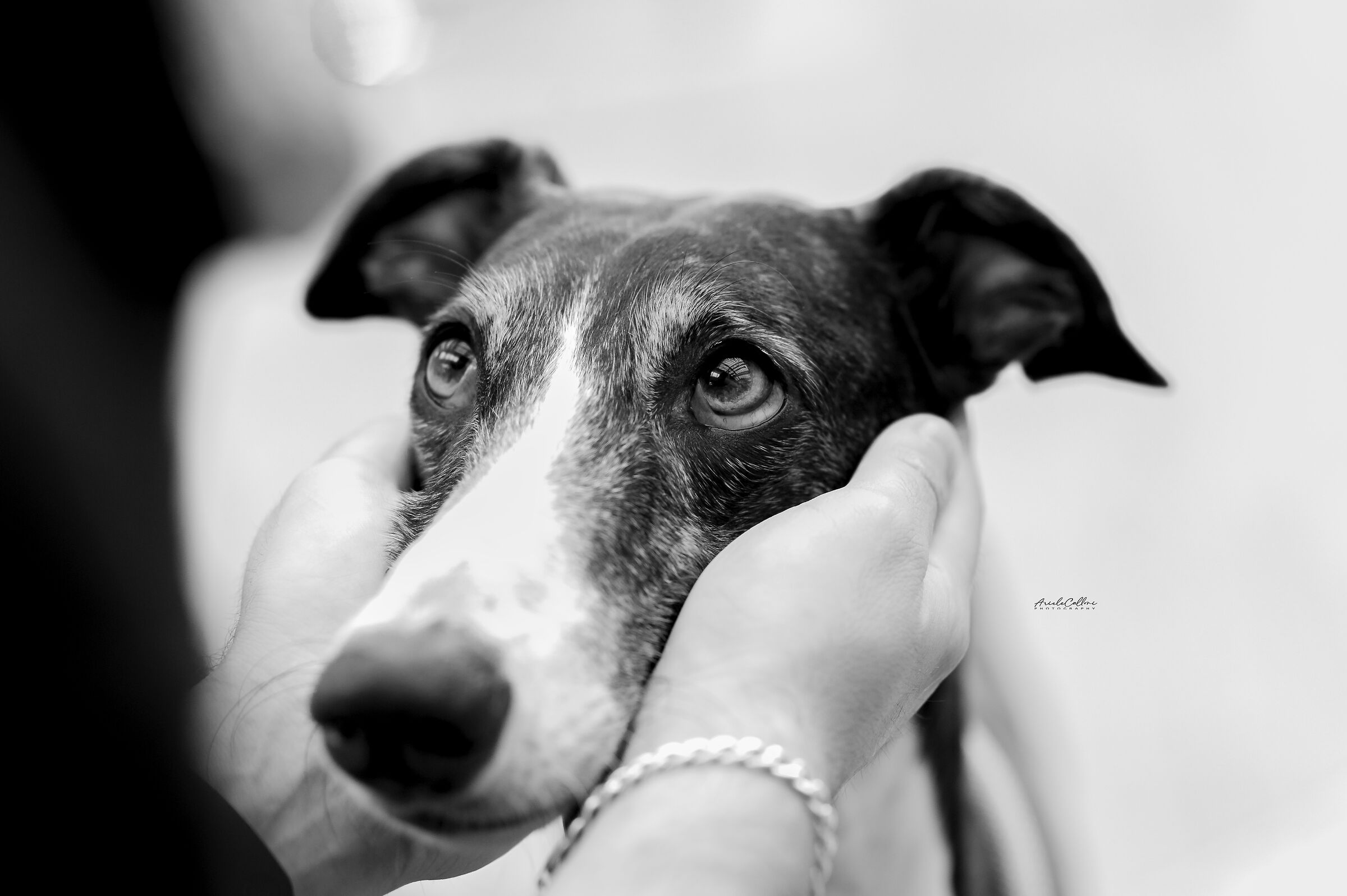 The gaze of love
