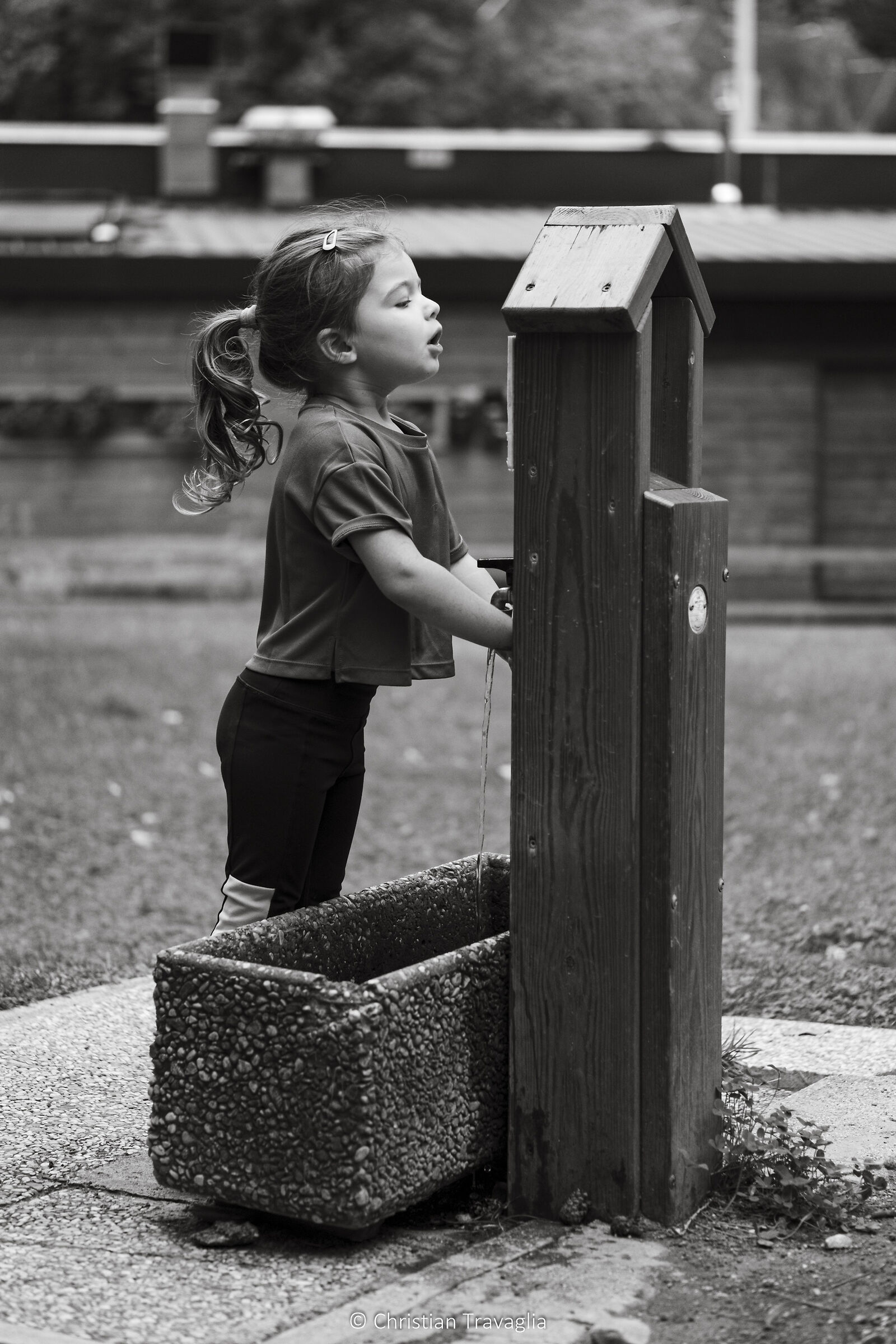 Curiosità - Alto Adige 2023