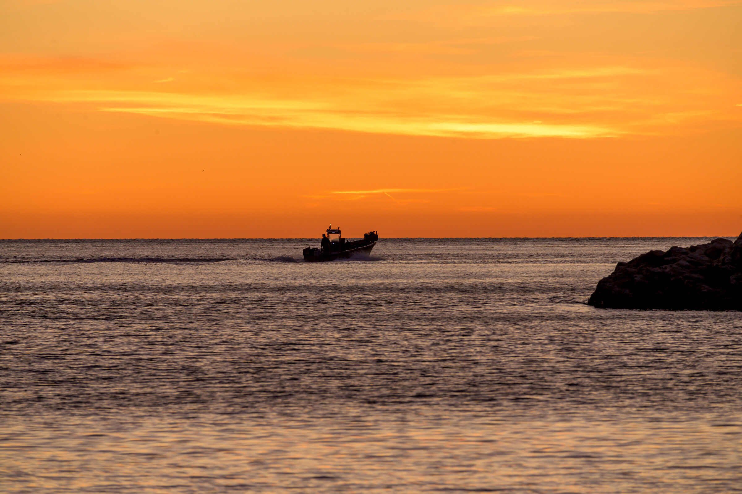 The Fisherman