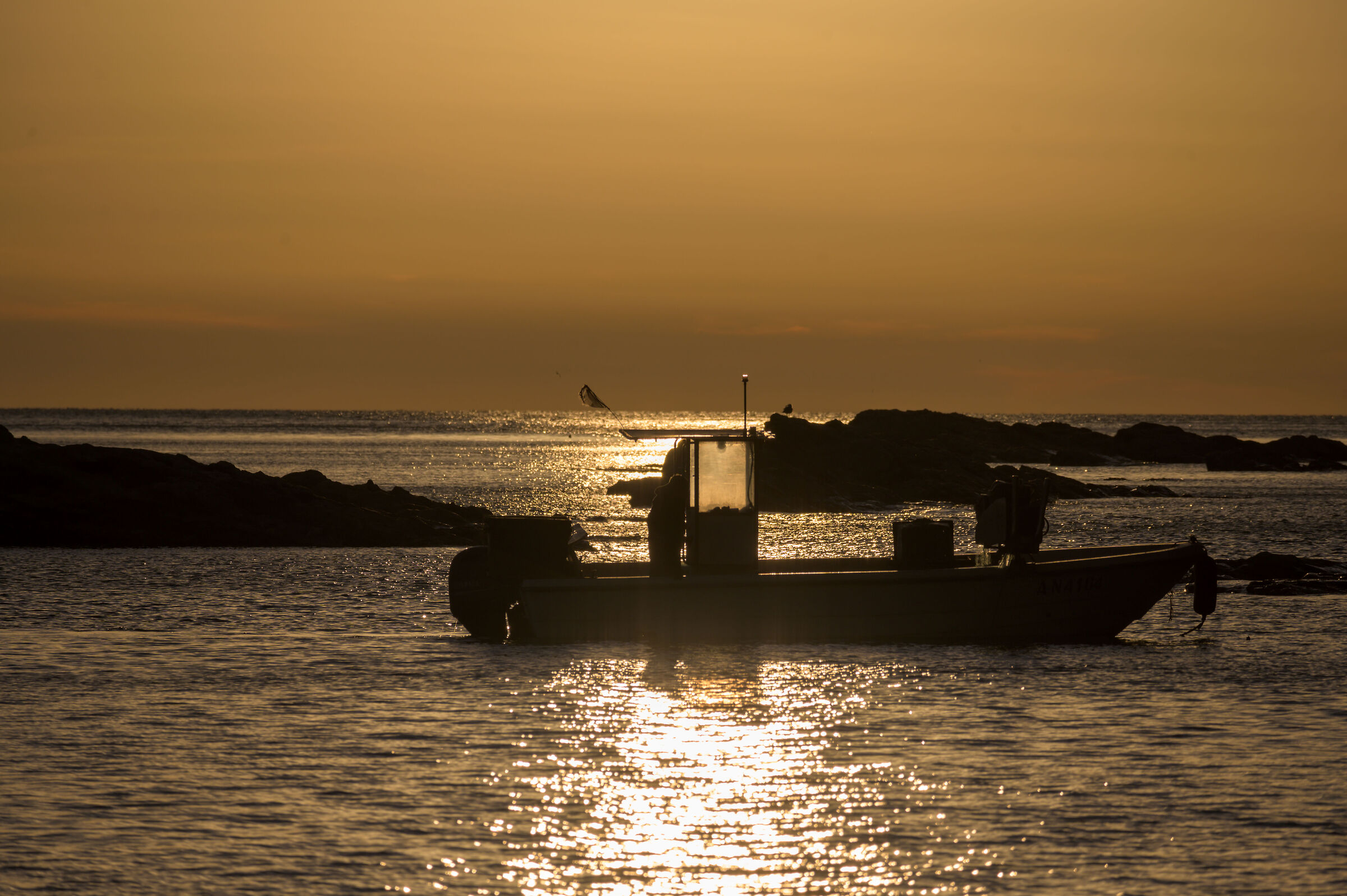 Fisherman