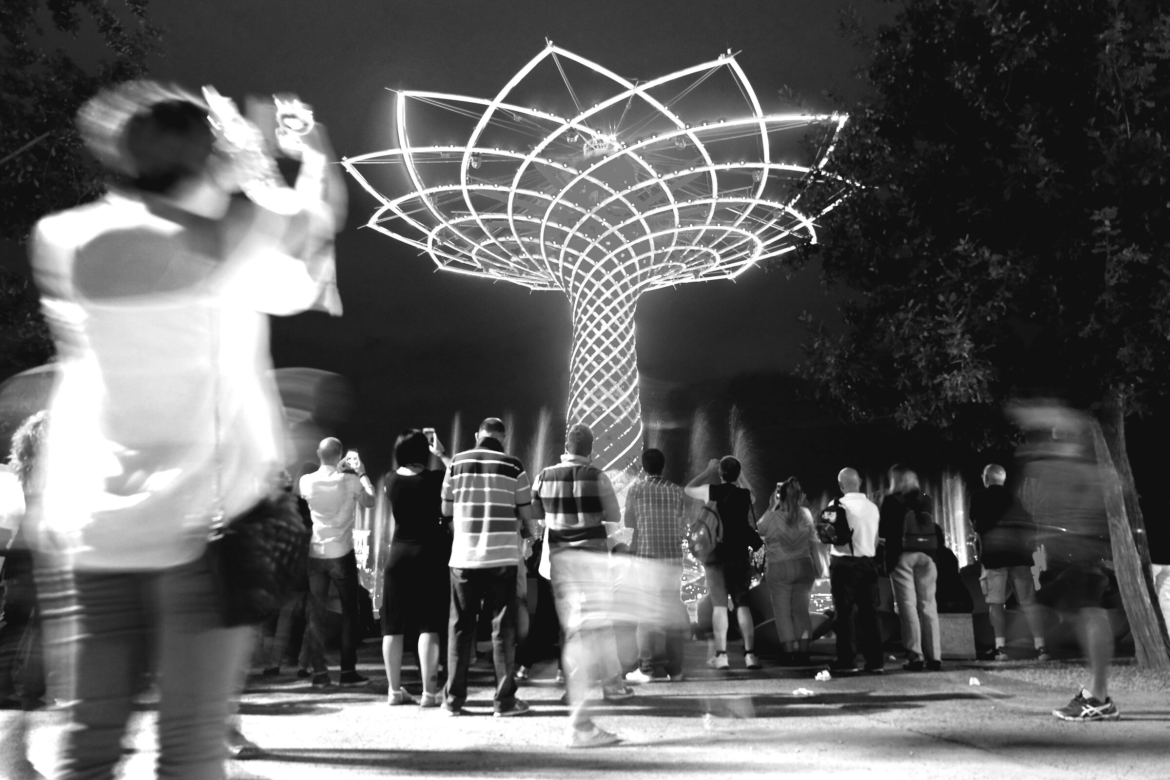 expo