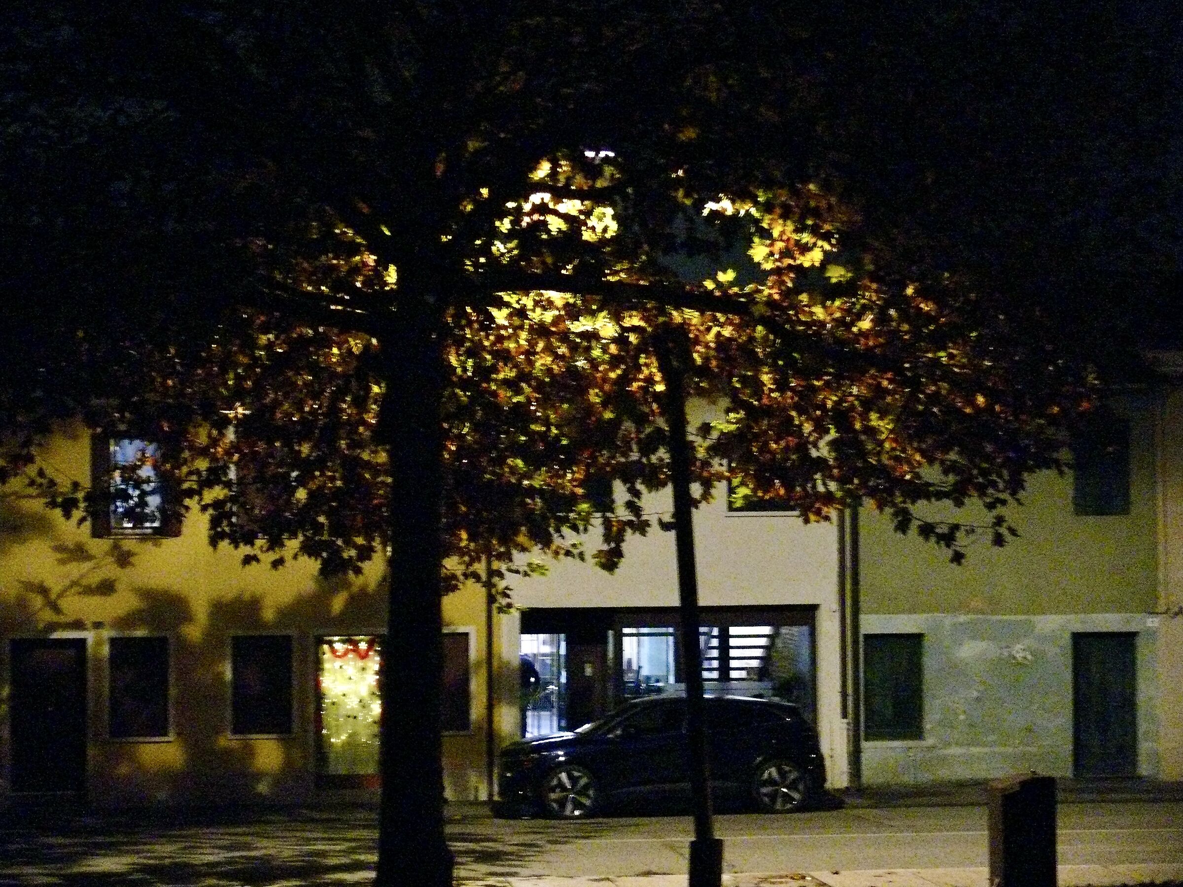 Di sera fuori dal castello