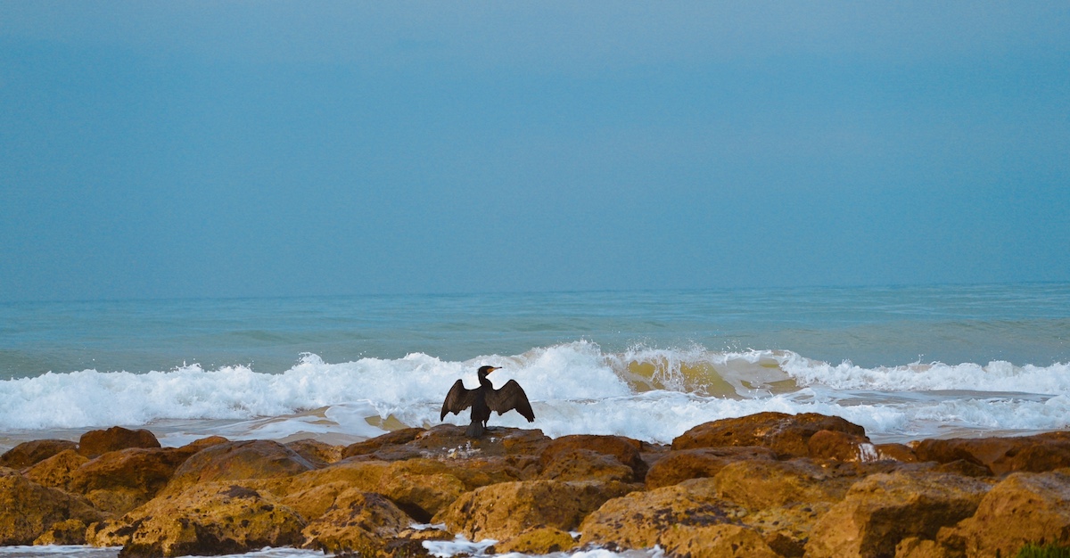 A greeting to the Sun