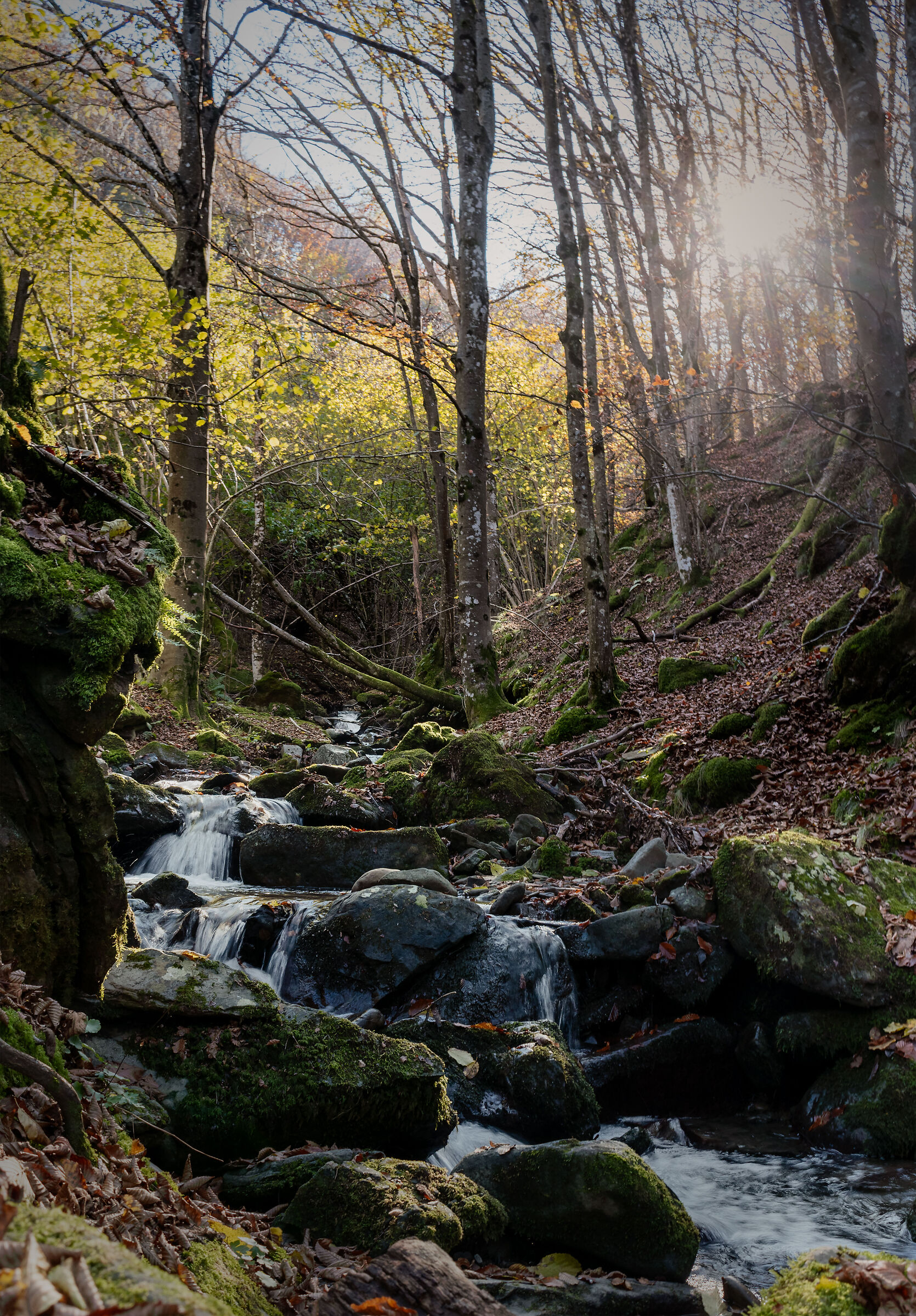 Acquerino Nature Reserve 1