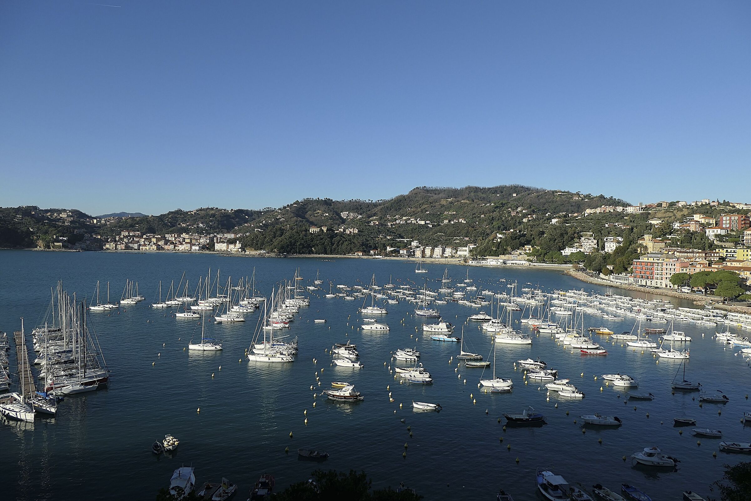 Lerici