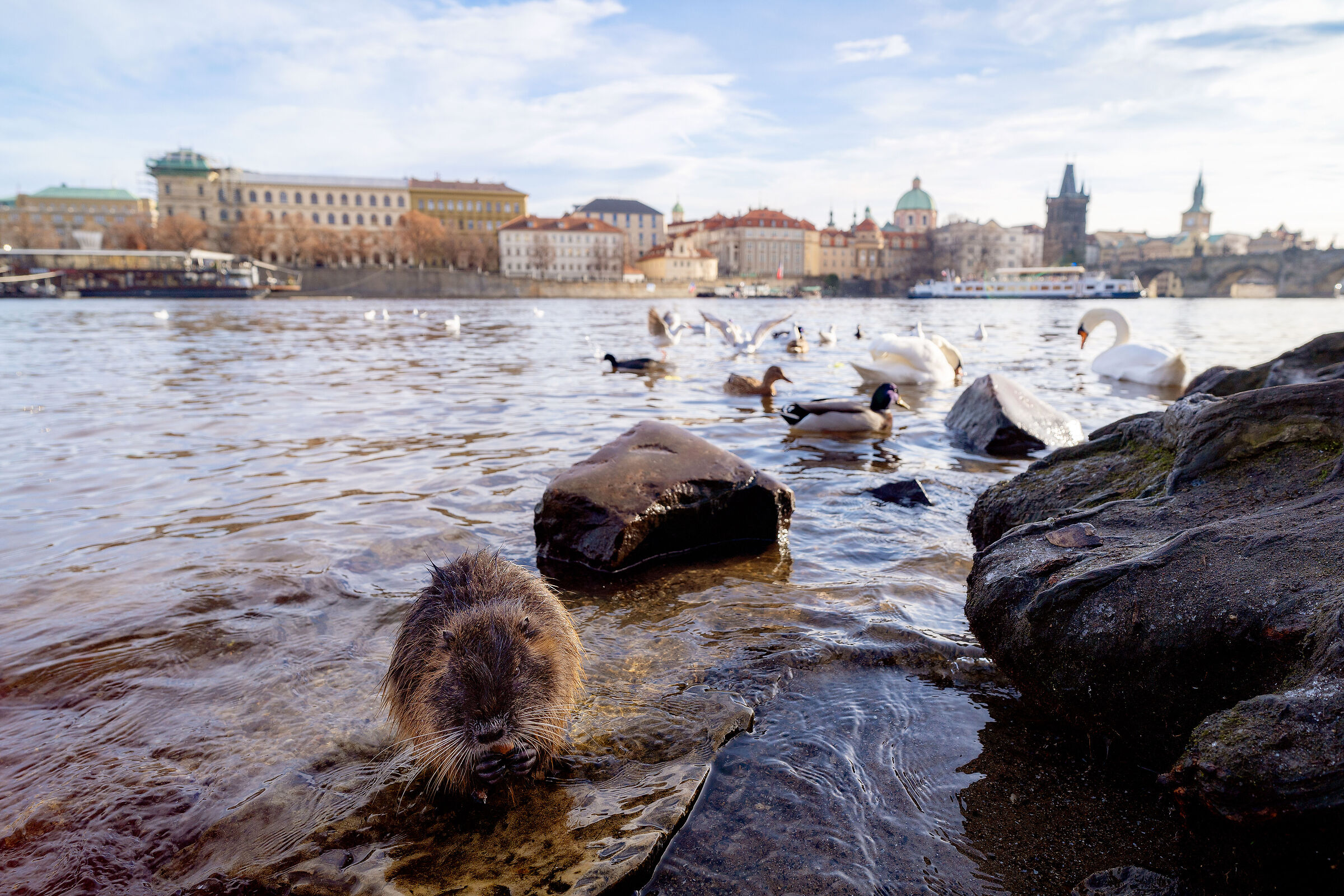 Praha from a different perspective