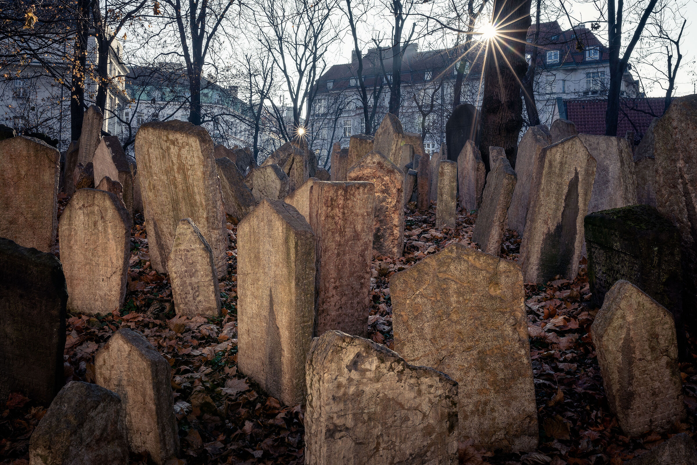 Starý Zidovský H?bitov