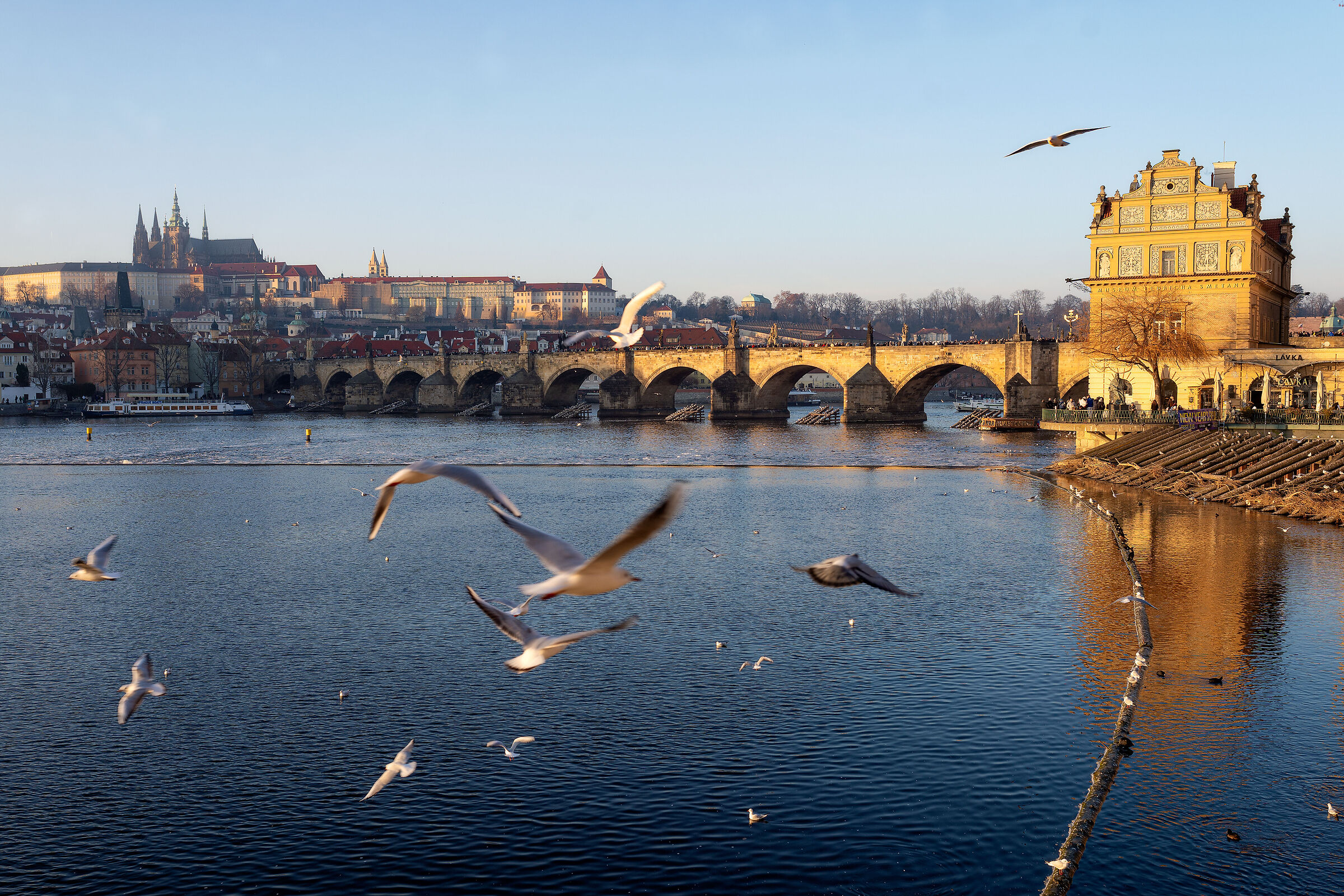 Vltava