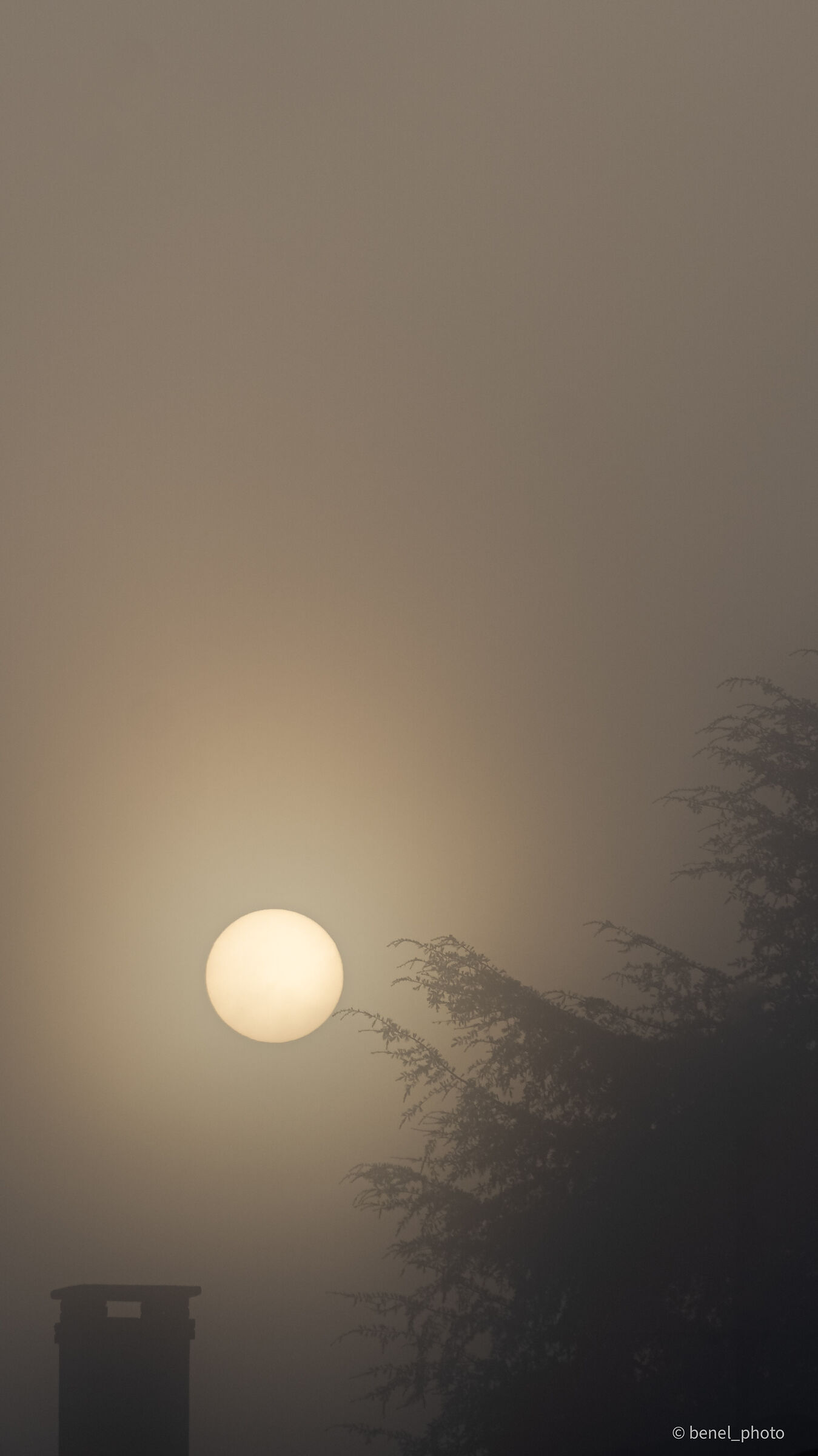 Foggy Sunrise