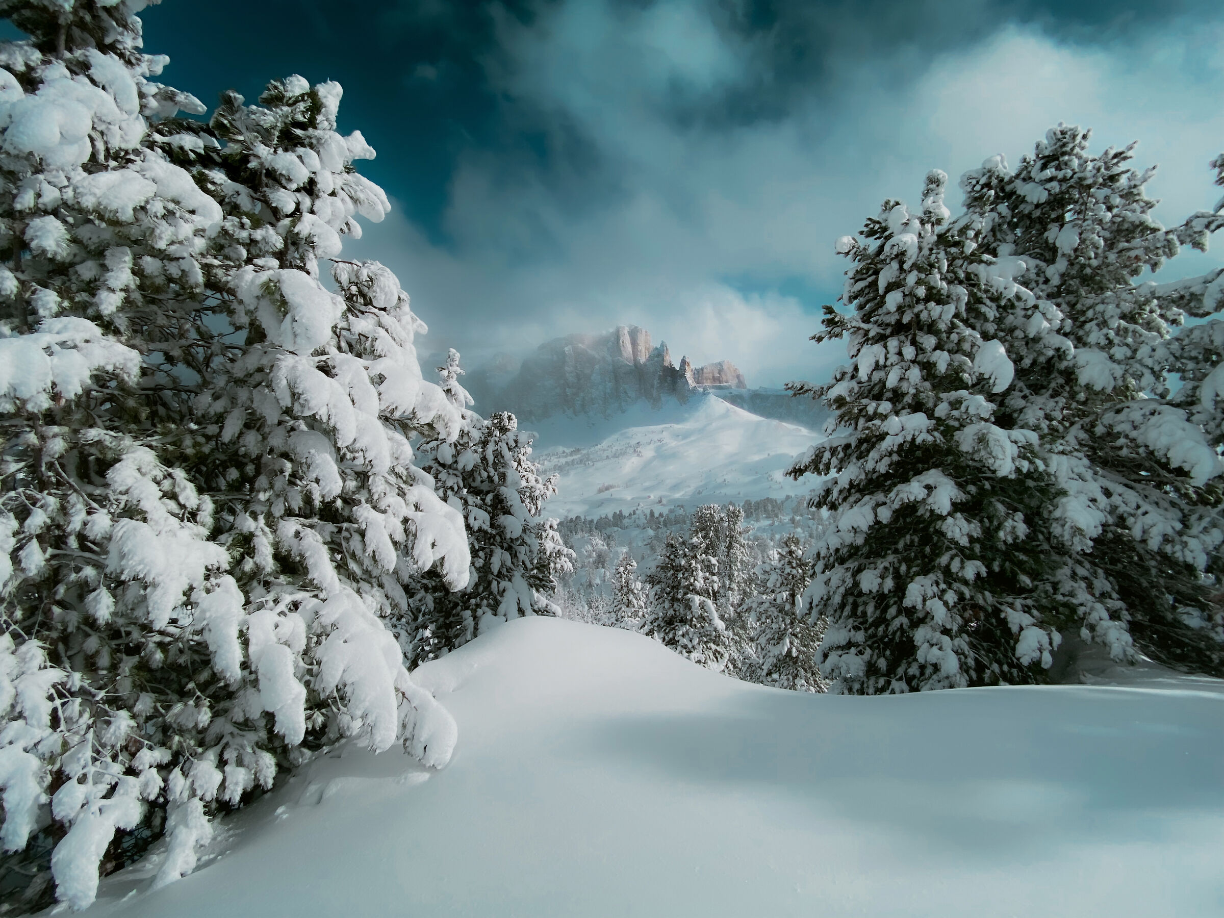 Città dei Sassi - Val di Fassa 2025