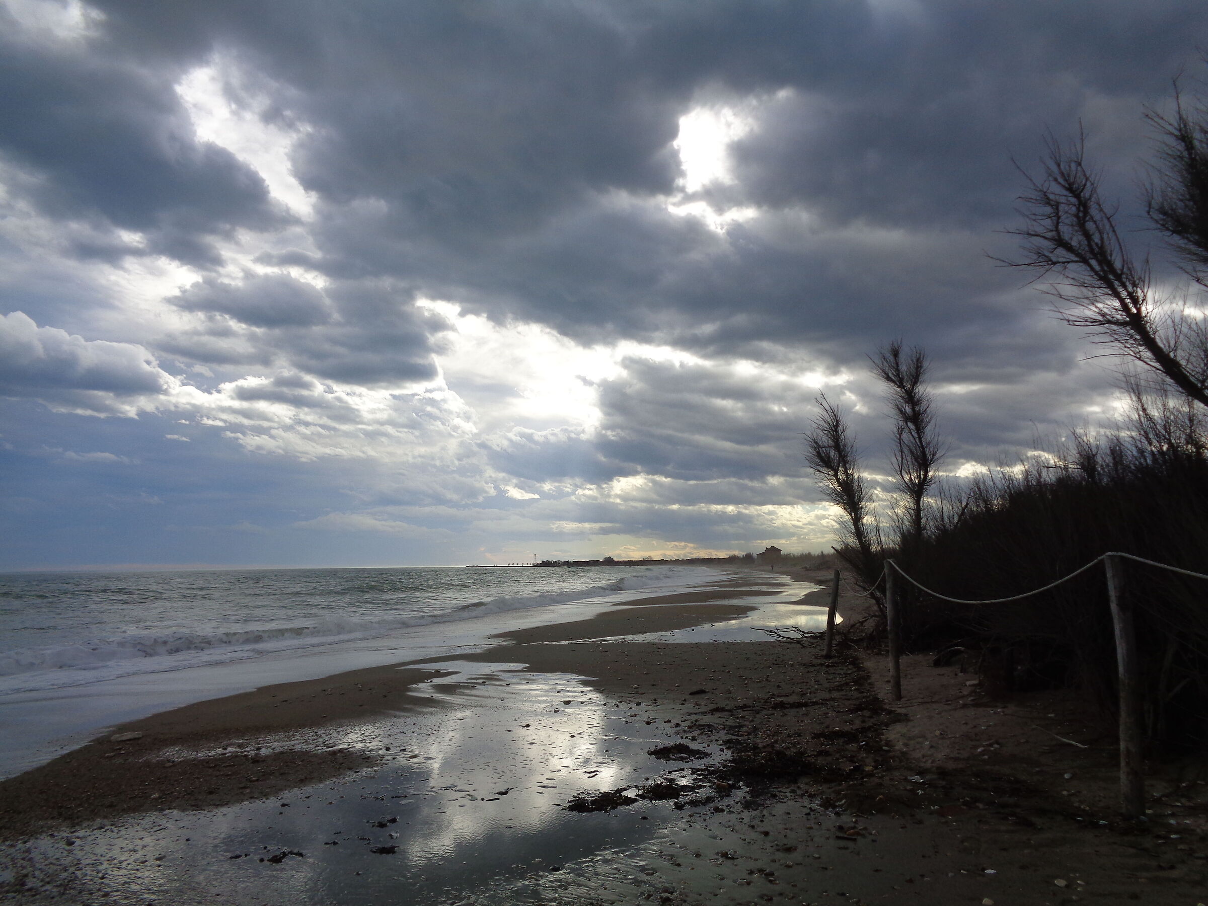Litorale riserva Sentina San Benedetto del Tronto