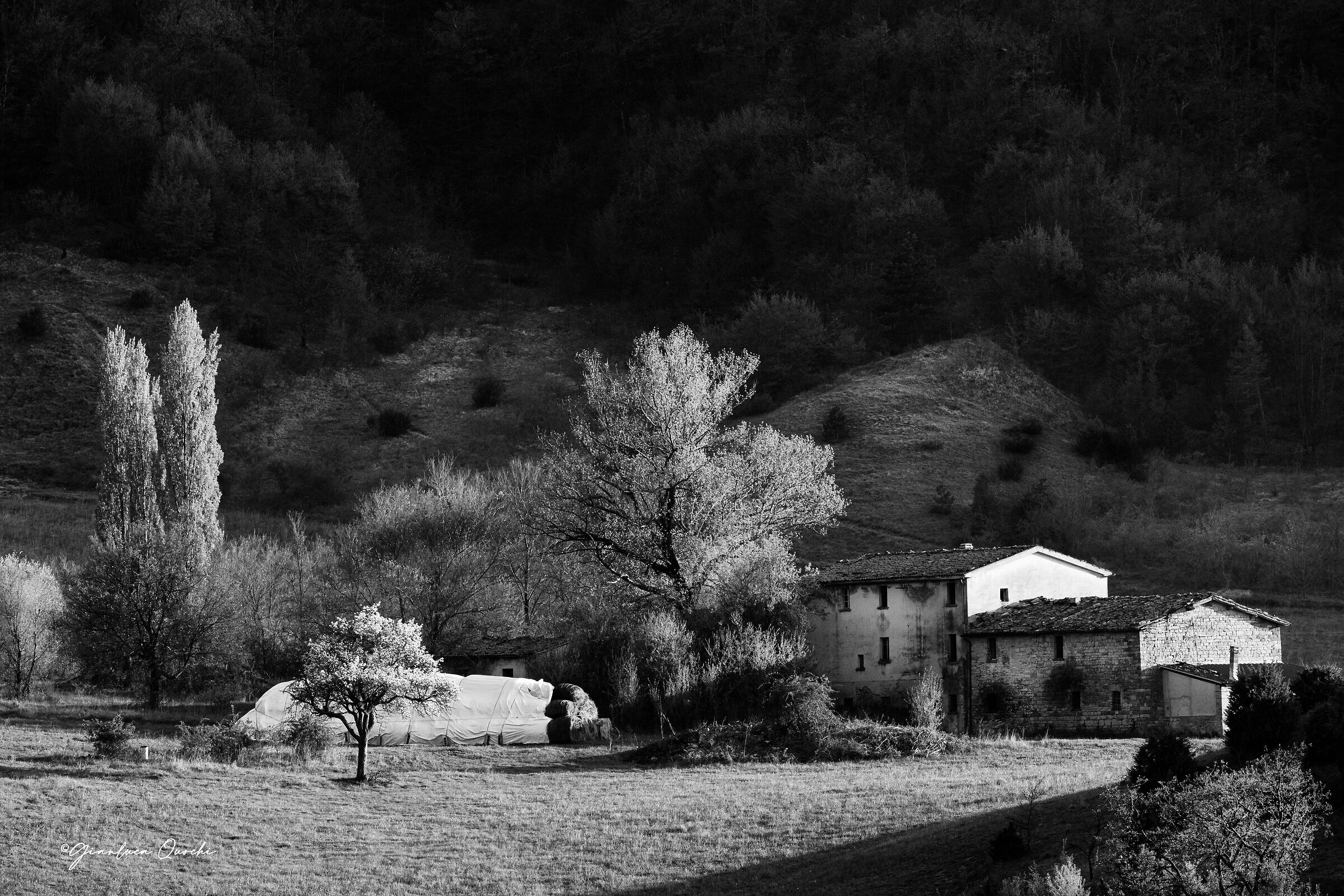 Luce tagliente