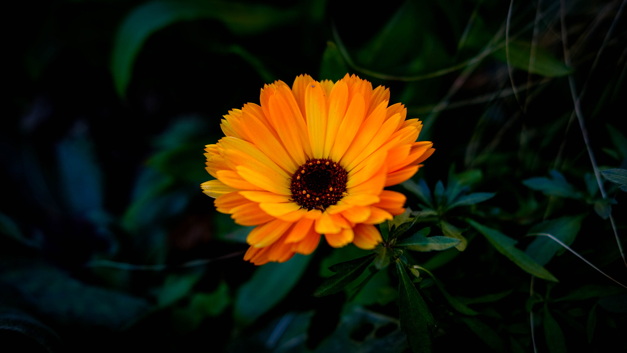 Slightly bright orange