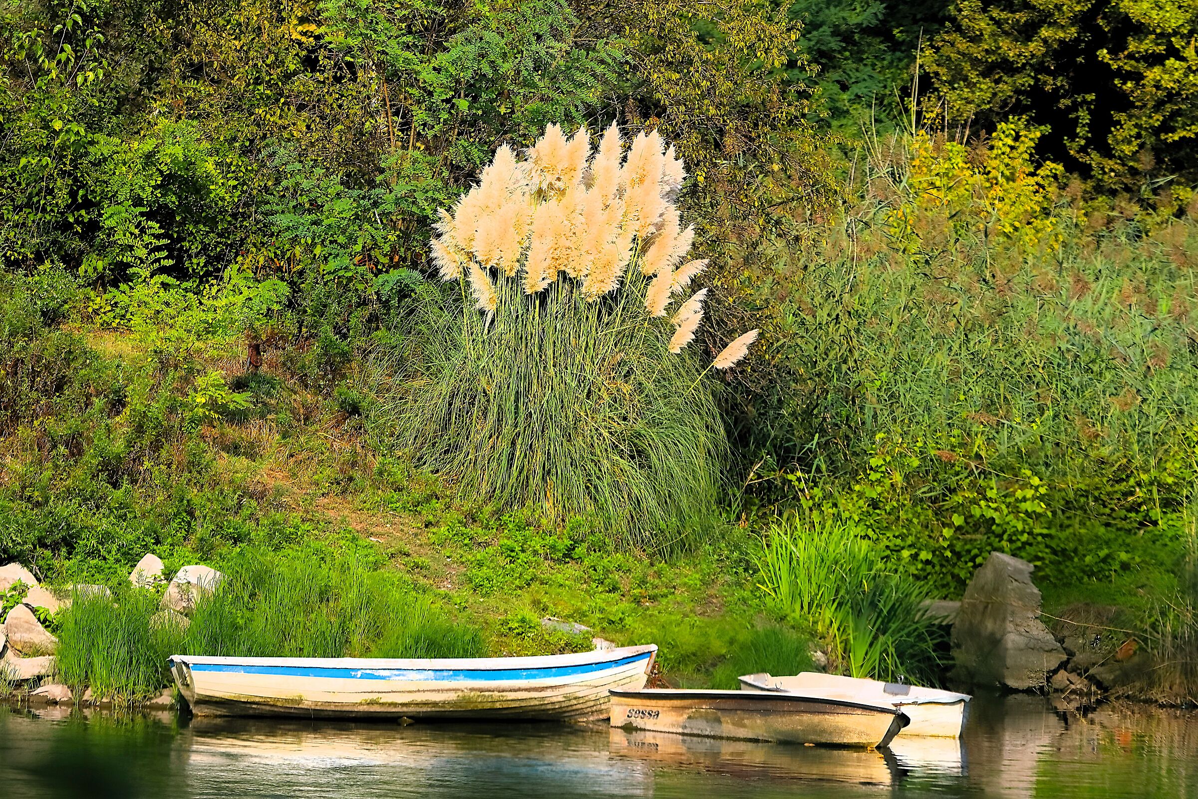 Scorcio 22 settembre 2024 - 0003