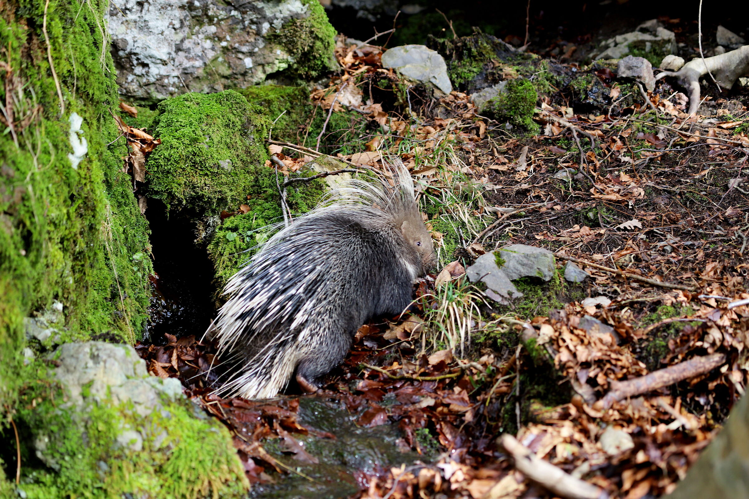 how hard is the climb