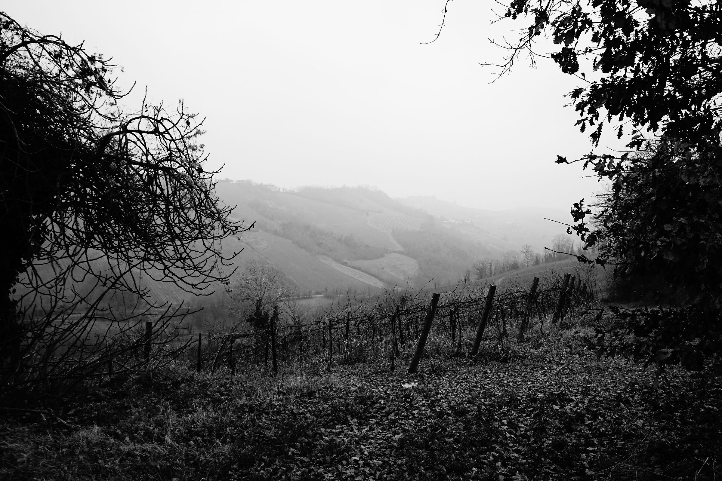 Mairano sopra Casteggio