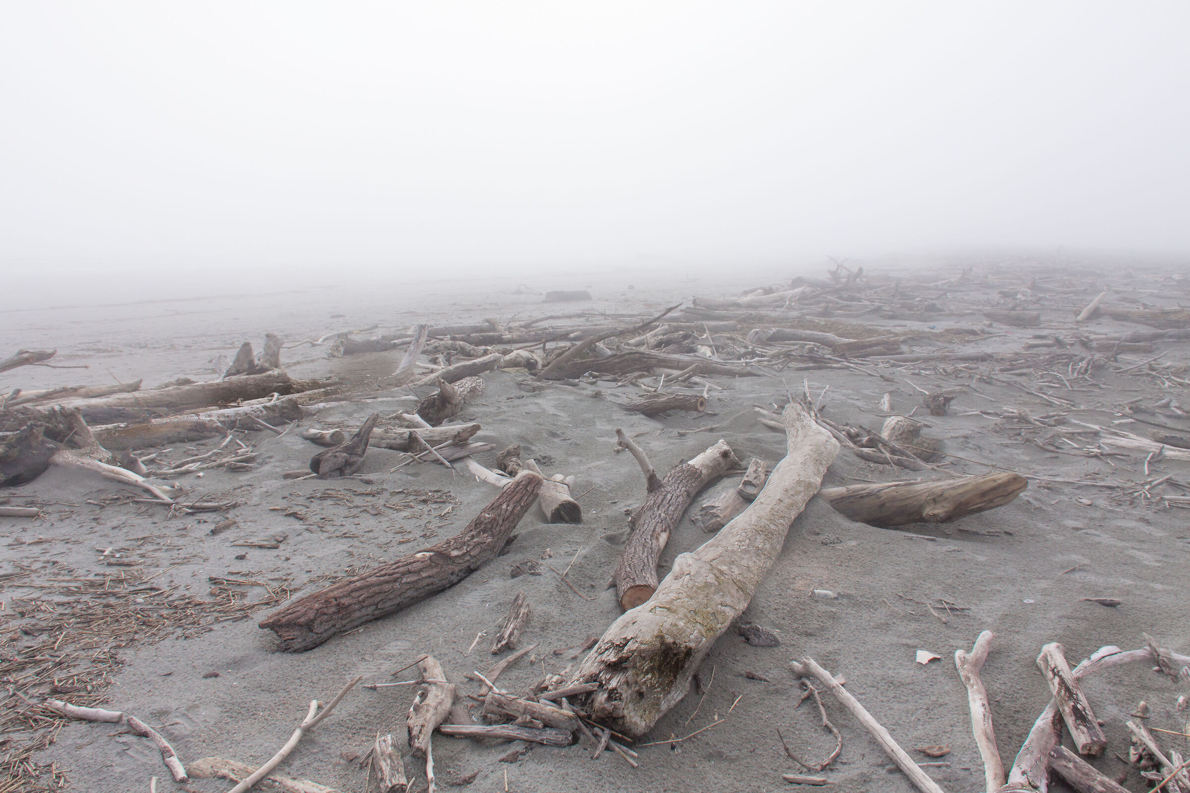 spiaggia delle conchiglie - Barricata (Ro)